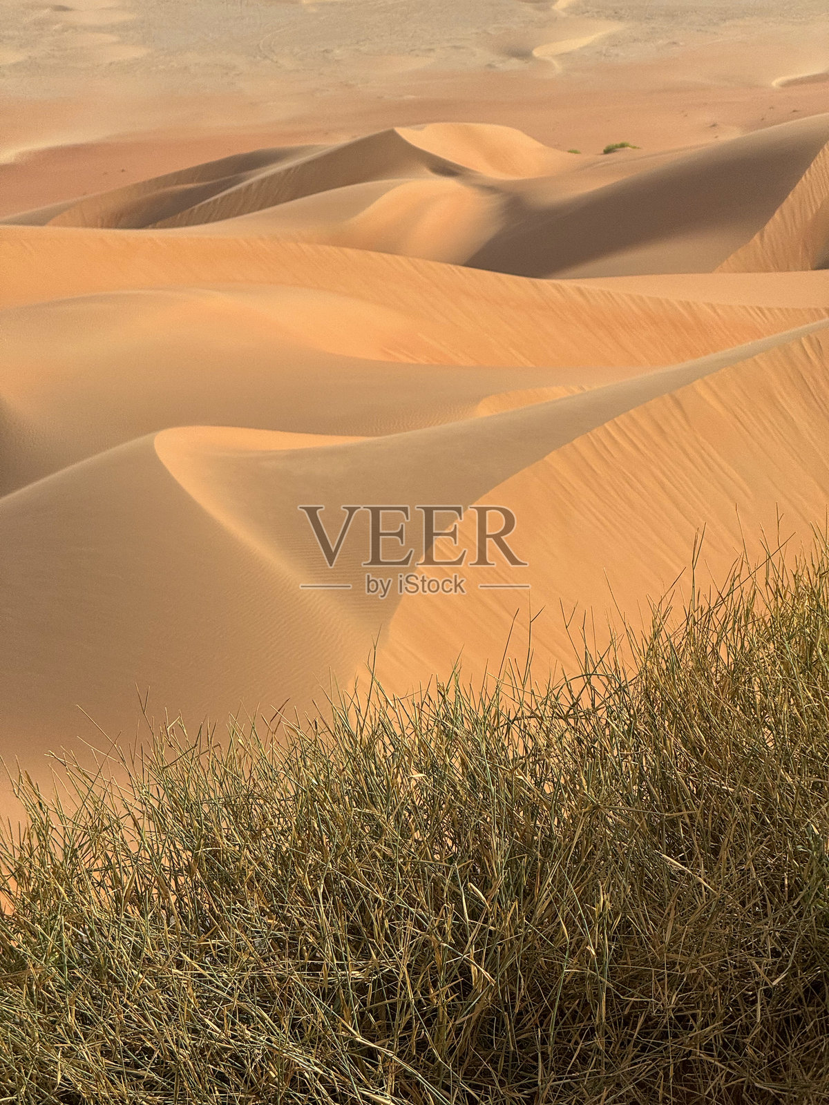 阿布扎比利瓦沙漠的壮丽沙丘景观，夕阳金色时光下的无尽沙丘照片摄影图片