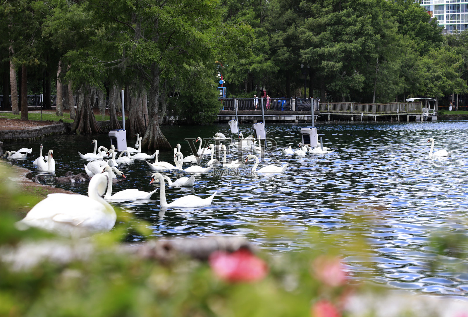 伊欧拉湖公园照片摄影图片