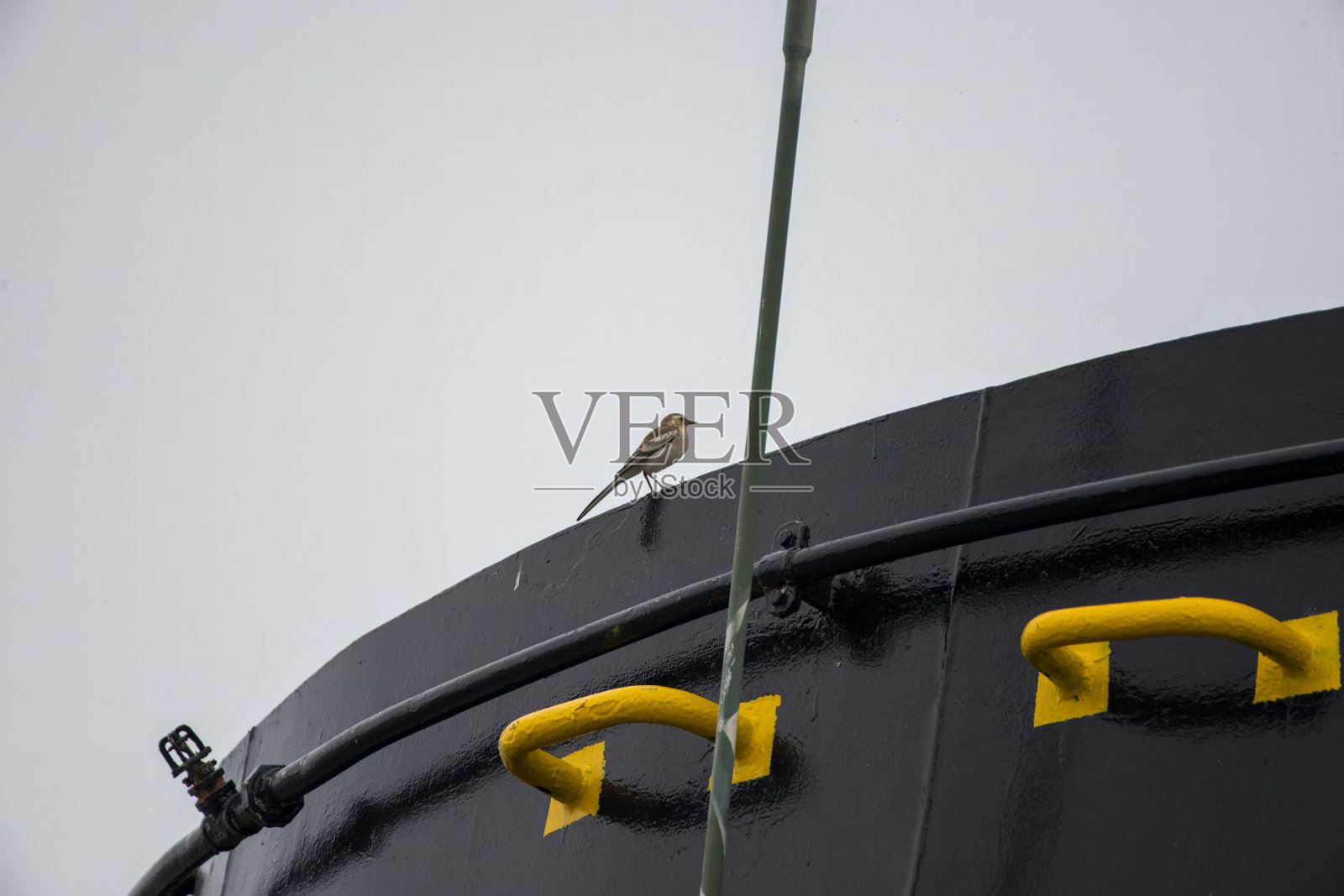 一只年轻的鹡鸰坐在船的排气烟囱上。照片摄影图片