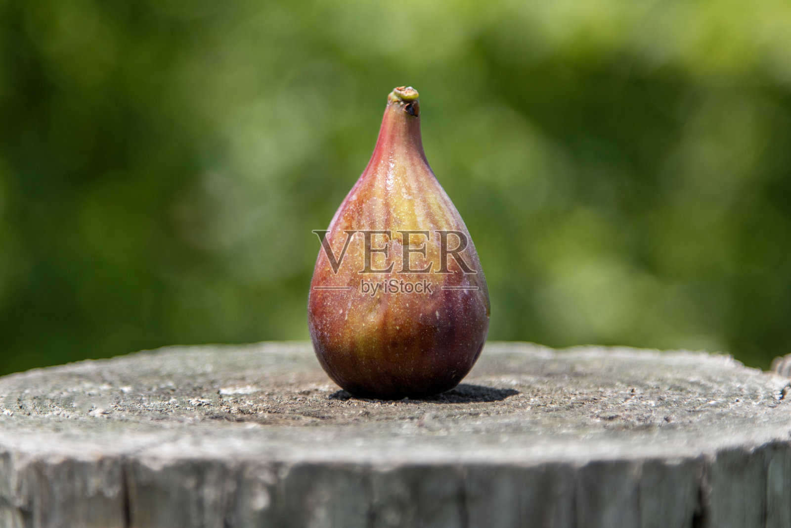 成熟的紫色无花果放在风化的木桩上照片摄影图片