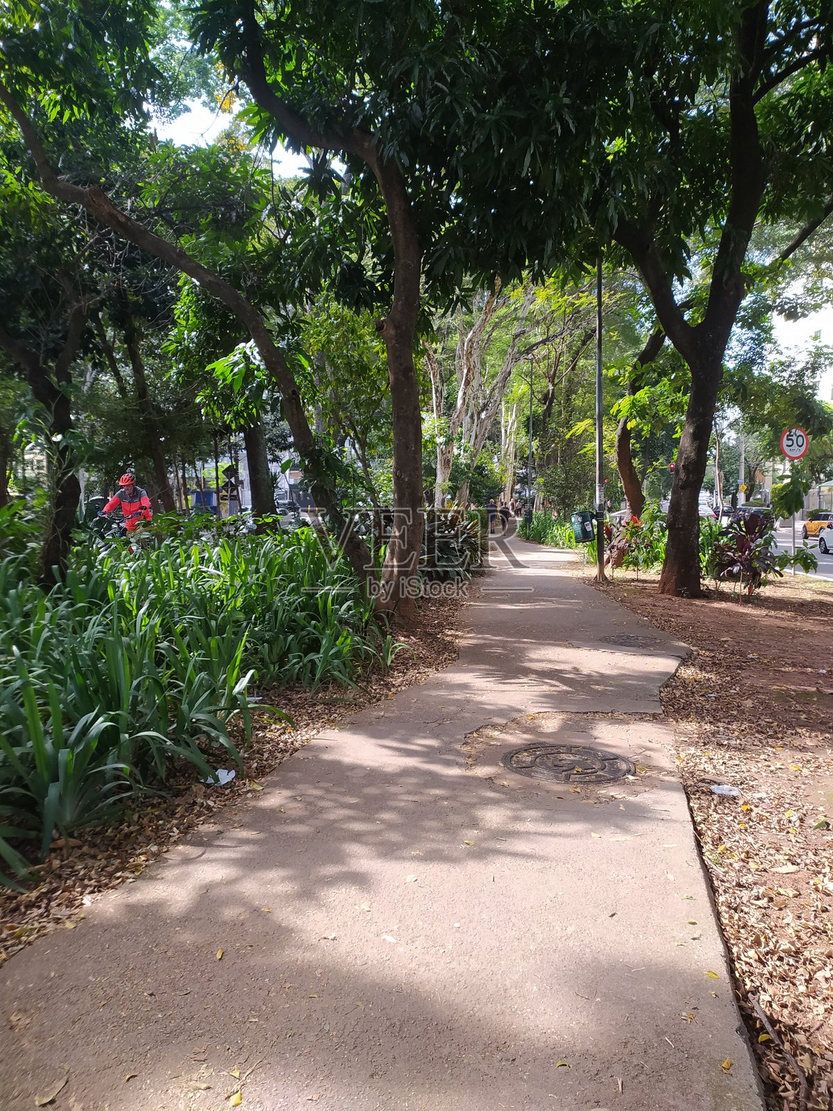 在圣坦娜区的巴斯莱梅大道上，树木间的小跑道照片摄影图片