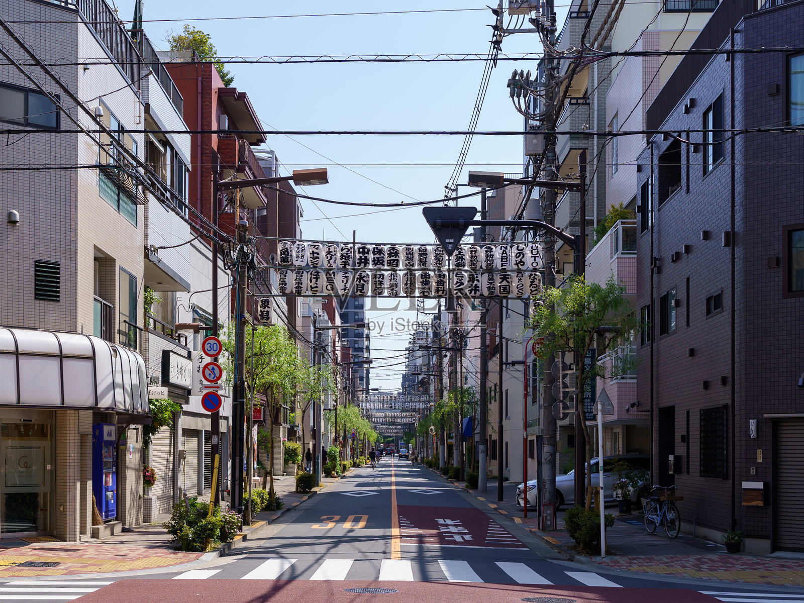 柳树街照片摄影图片