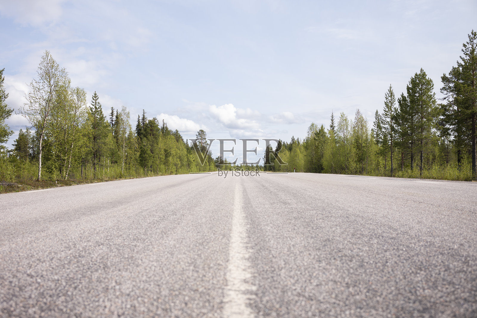 荒野道路 自然 多云的天空 树木照片摄影图片