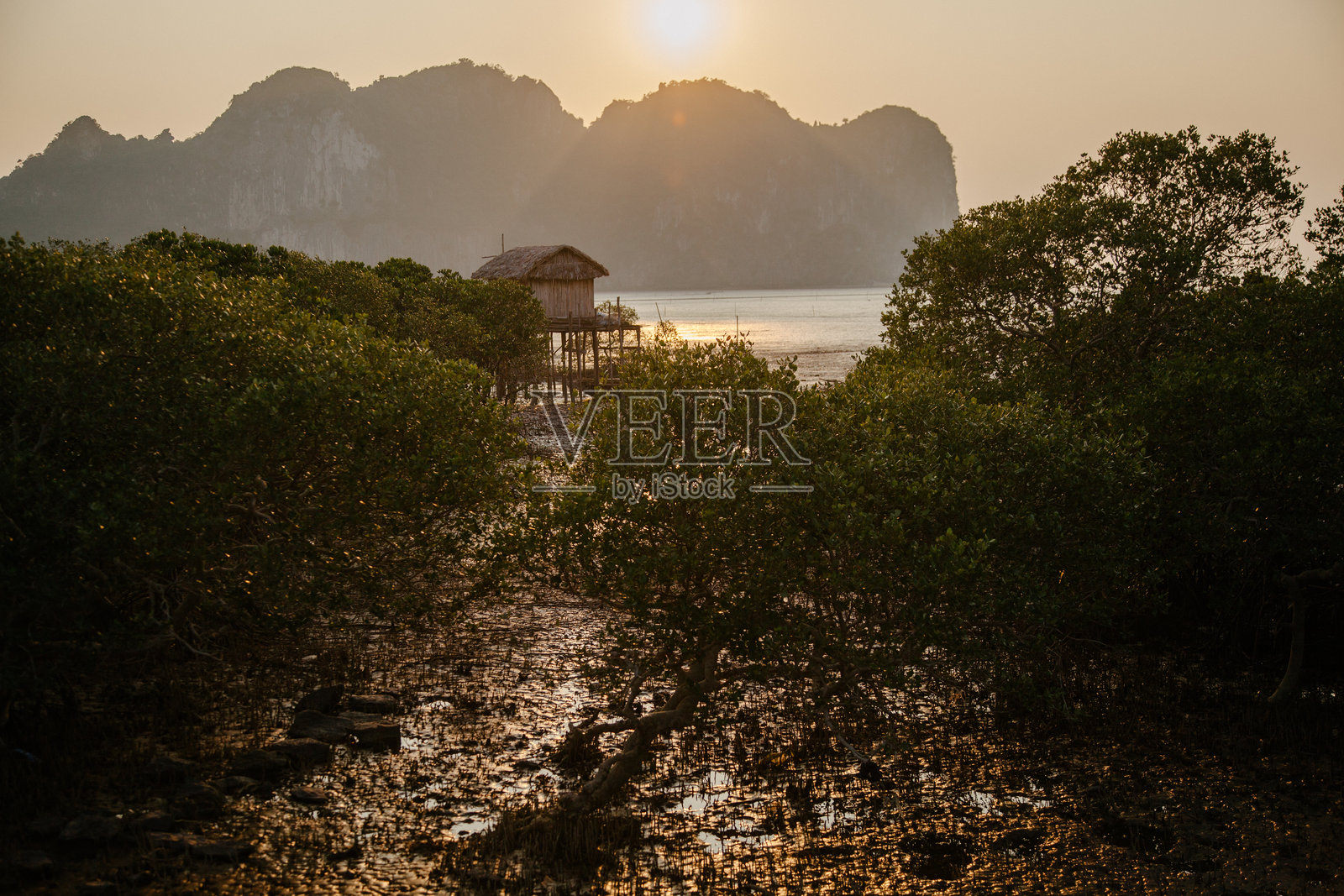 日落时分的传统越南木质高脚屋照片摄影图片