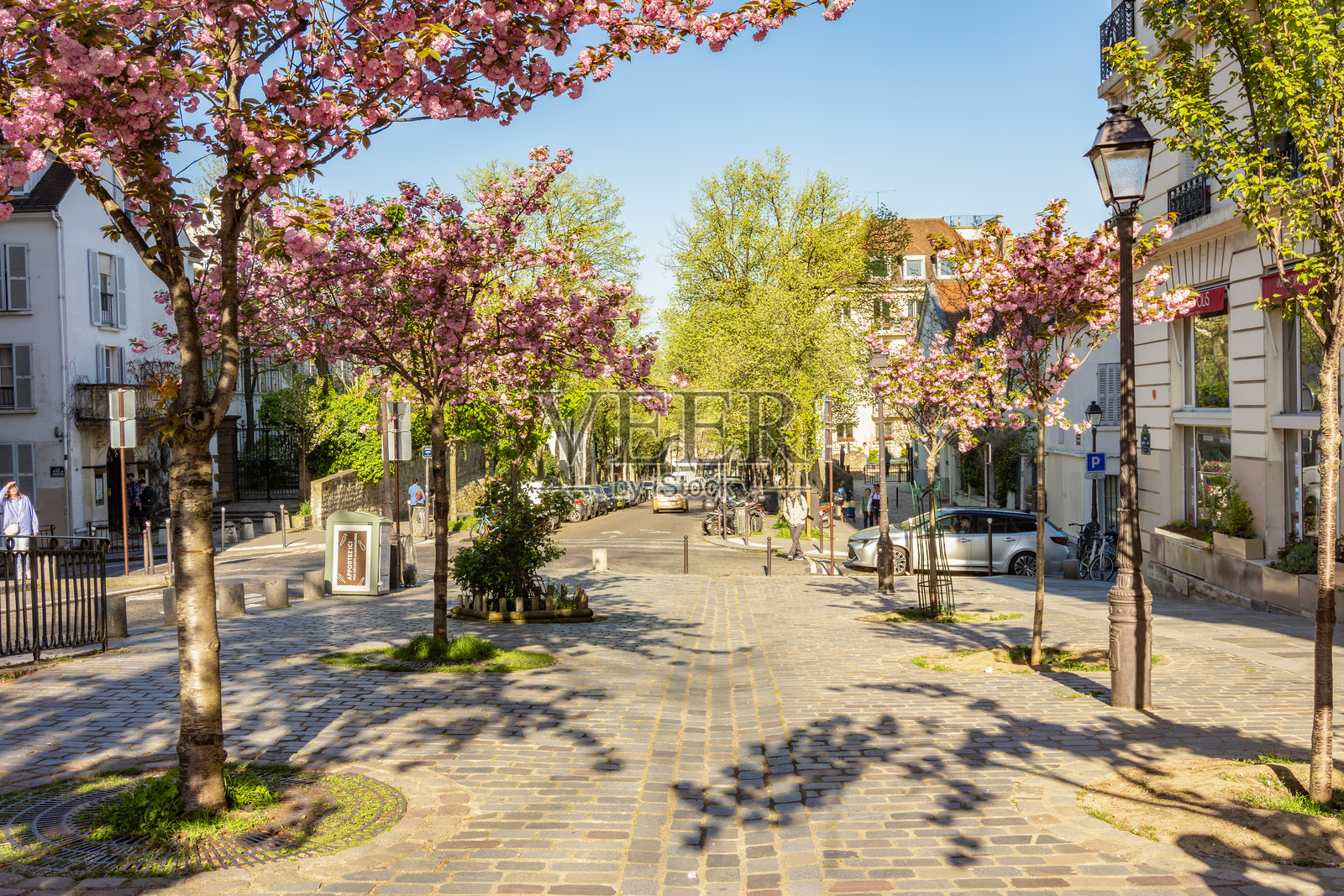 巴黎蒙马特春天盛开的樱花照片摄影图片