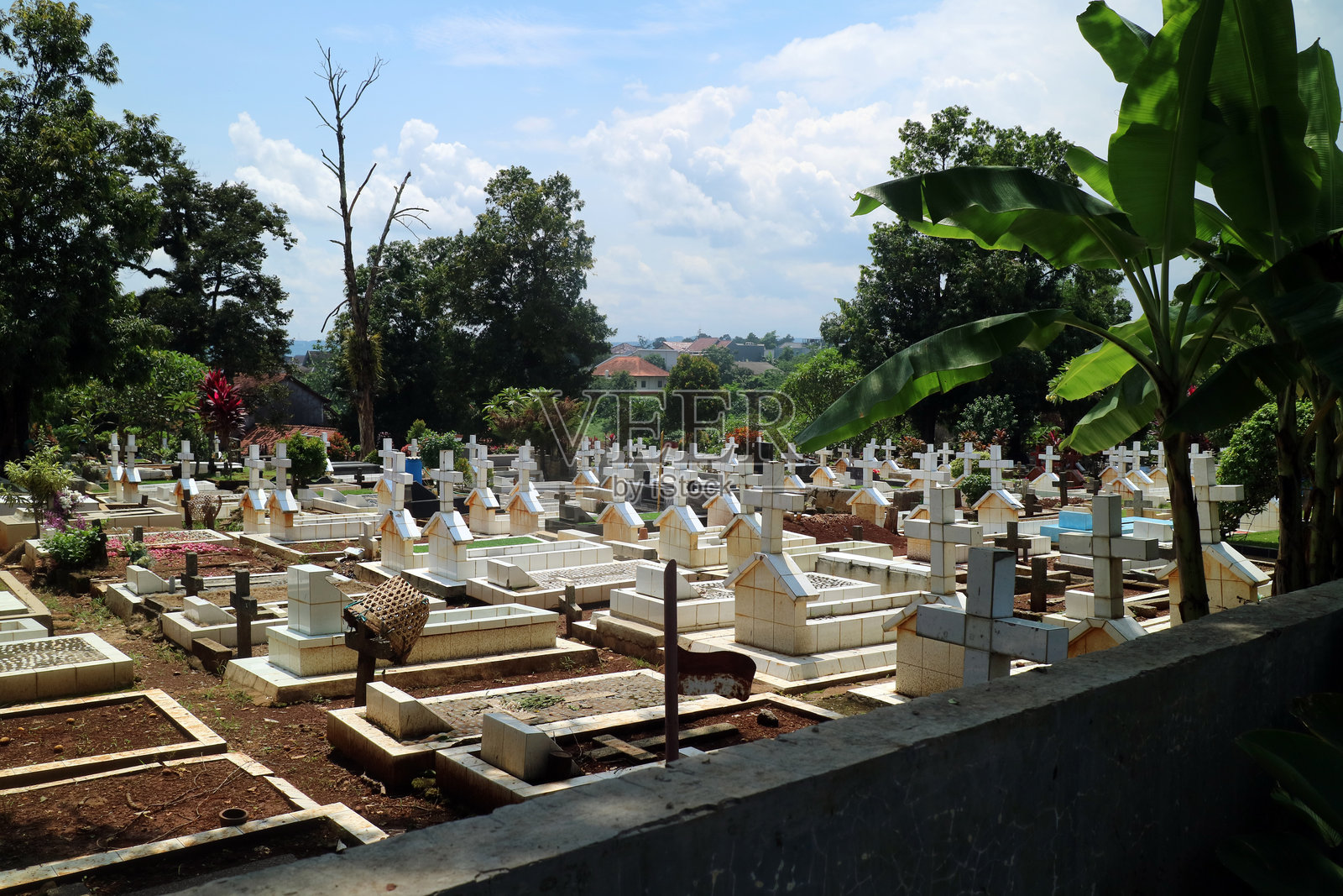 宁静的墓地，白色十字架与绿植相映成趣照片摄影图片