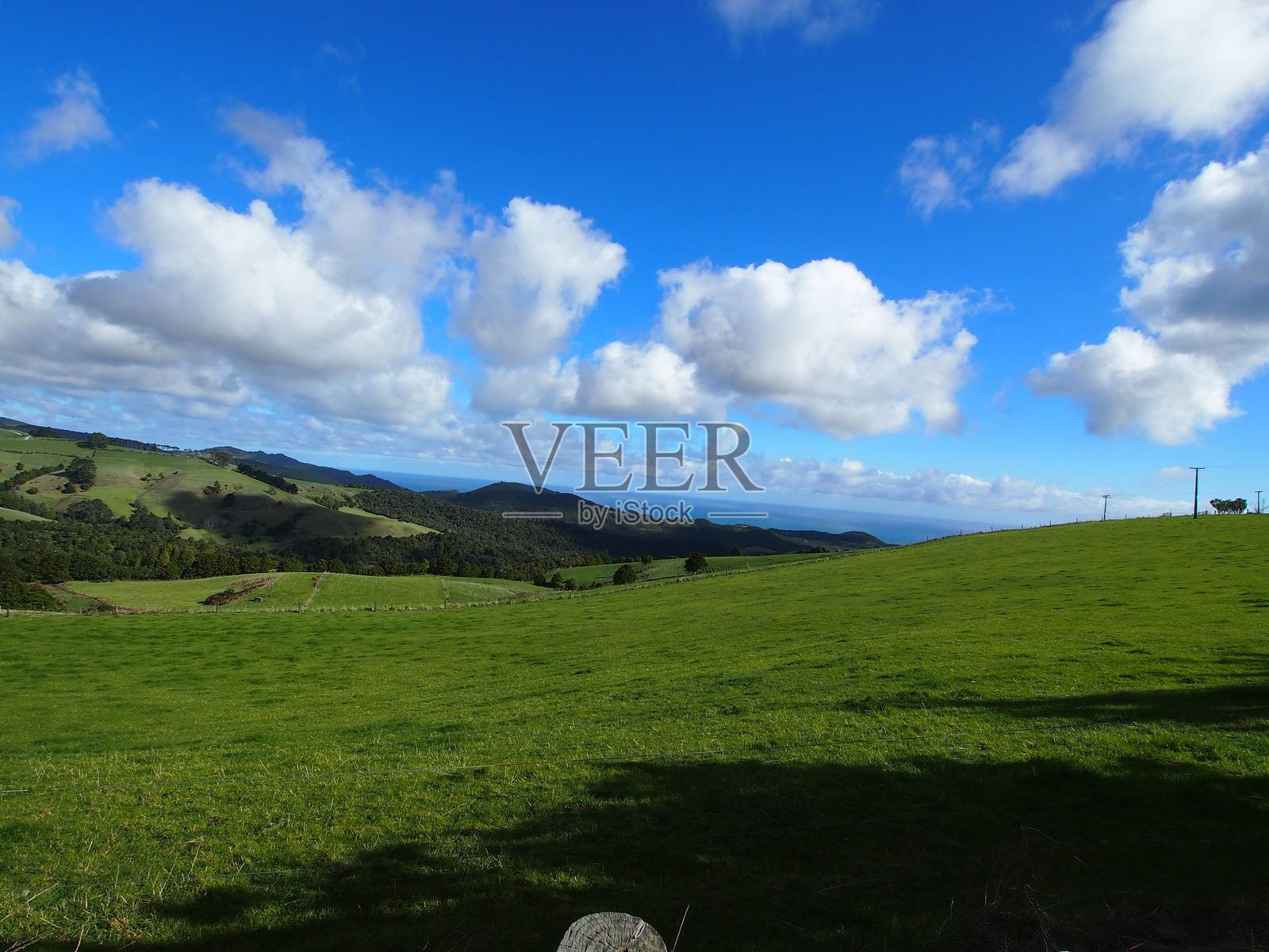 新西兰北岛的牧场和蓝天照片摄影图片