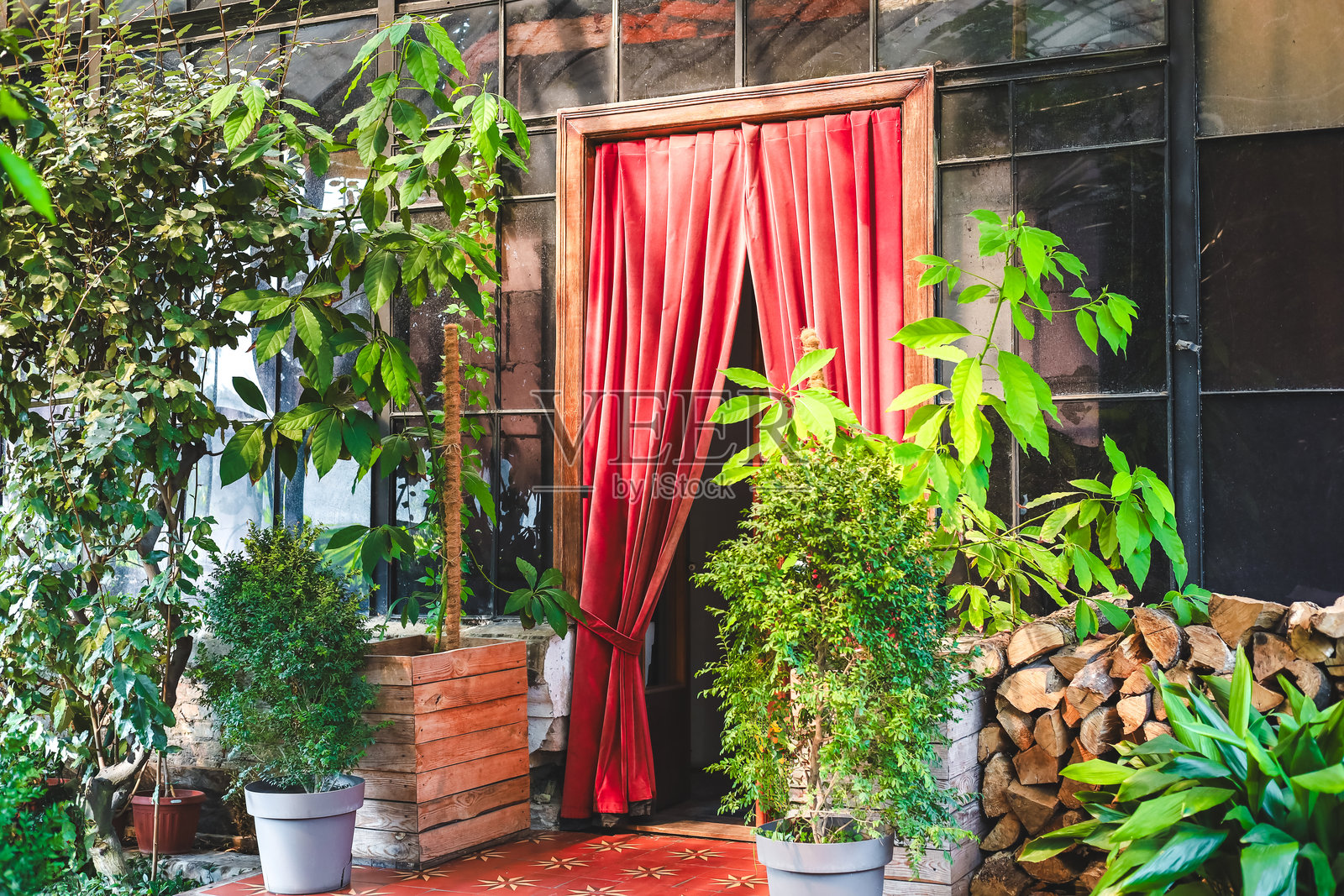 优雅的入口，红色窗帘和绿色植物在城市环境中的白天照片摄影图片