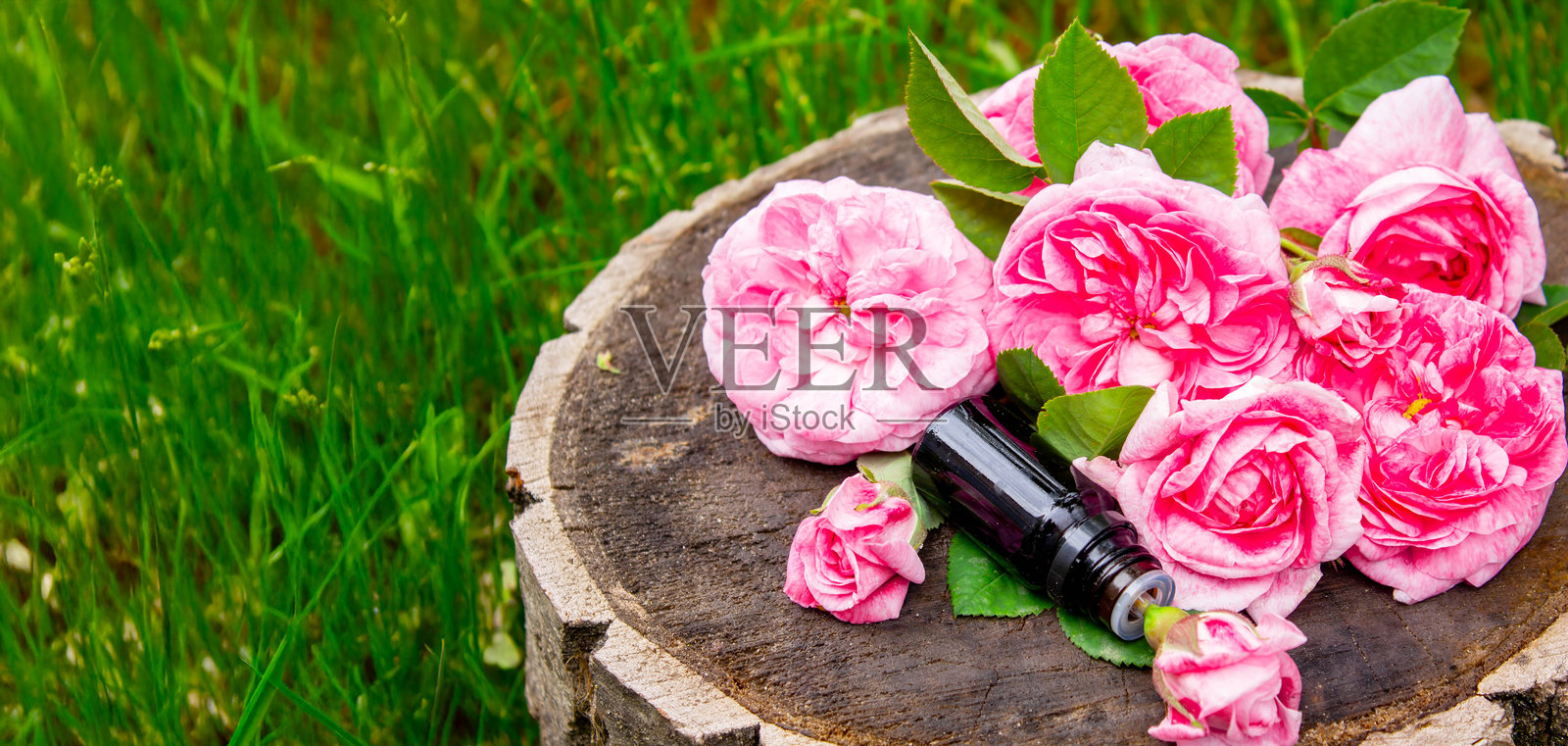 瓶中的玫瑰精油。精油。照片摄影图片