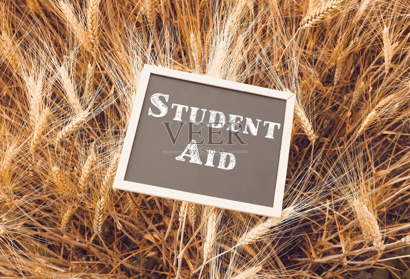 一块写着“学生援助”的标志立在高高的草地上照片摄影图片