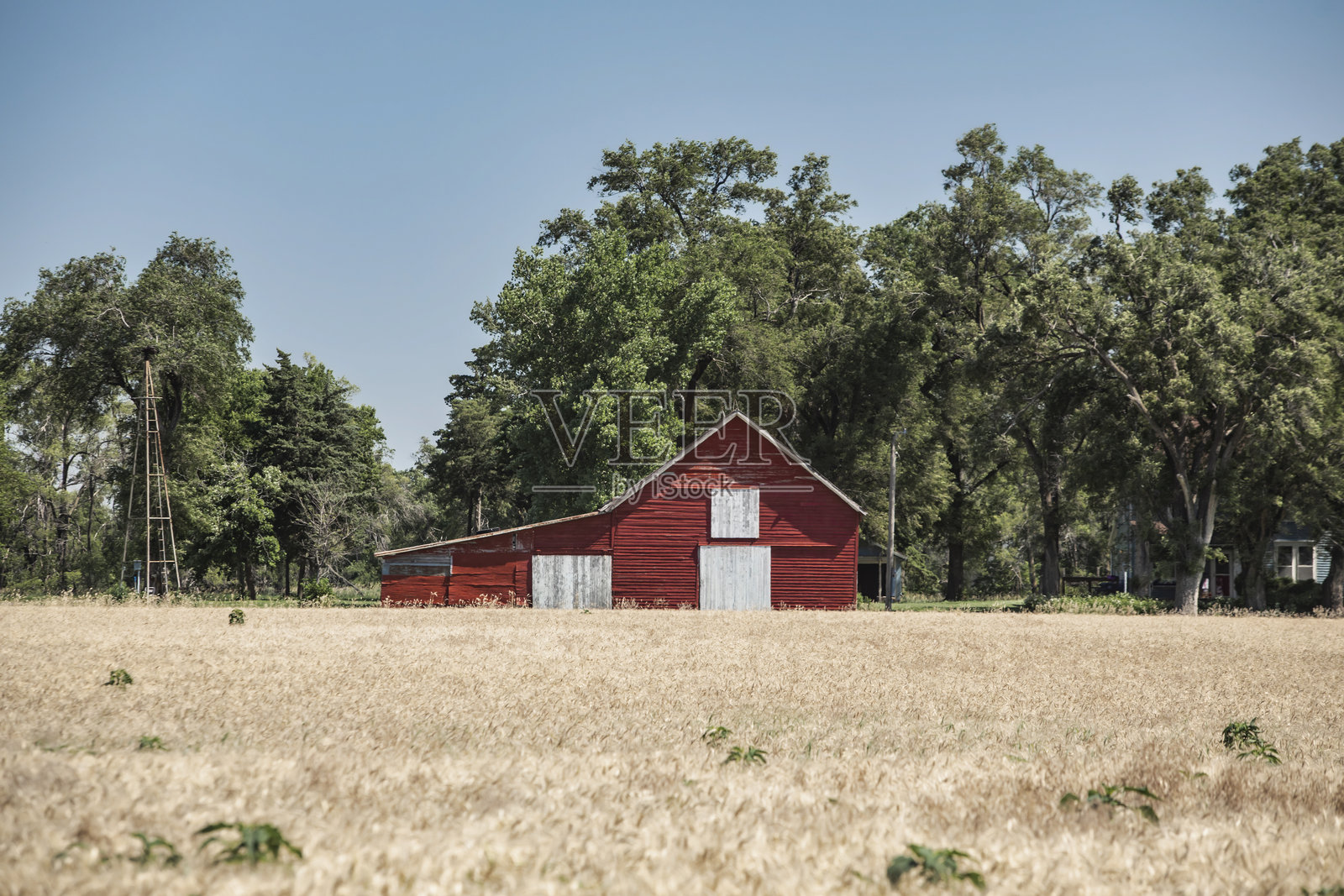 美国中西部的红色谷仓和麦田照片摄影图片