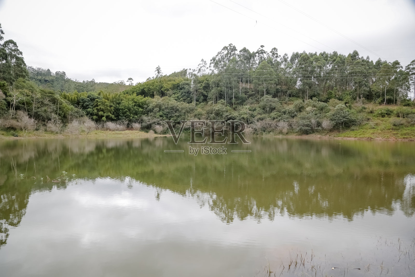 一座桥横跨在大坝上，周围是自然风光。平静的水面映照出桥梁和周围的植被，构成了一幅宁静和谐的画面。非常适合基础设施、环境和内陆旅游主题。照片摄影图片