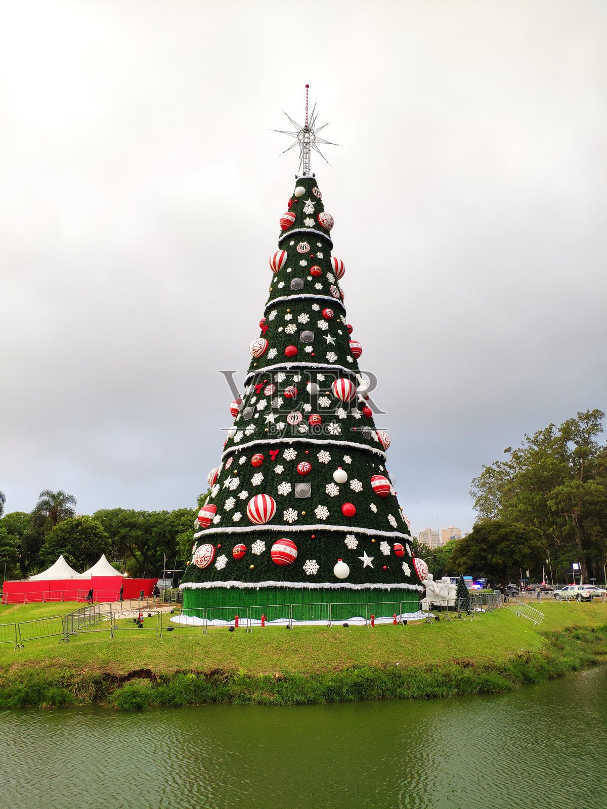 圣诞树照片摄影图片