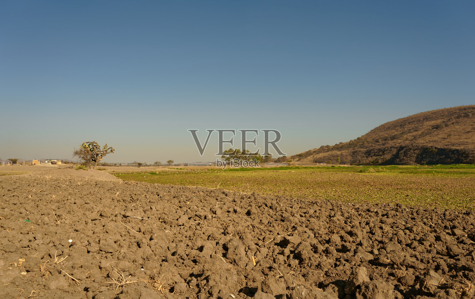 阳光明媚的乡村场景，沼泽和田野，自然风光照片摄影图片