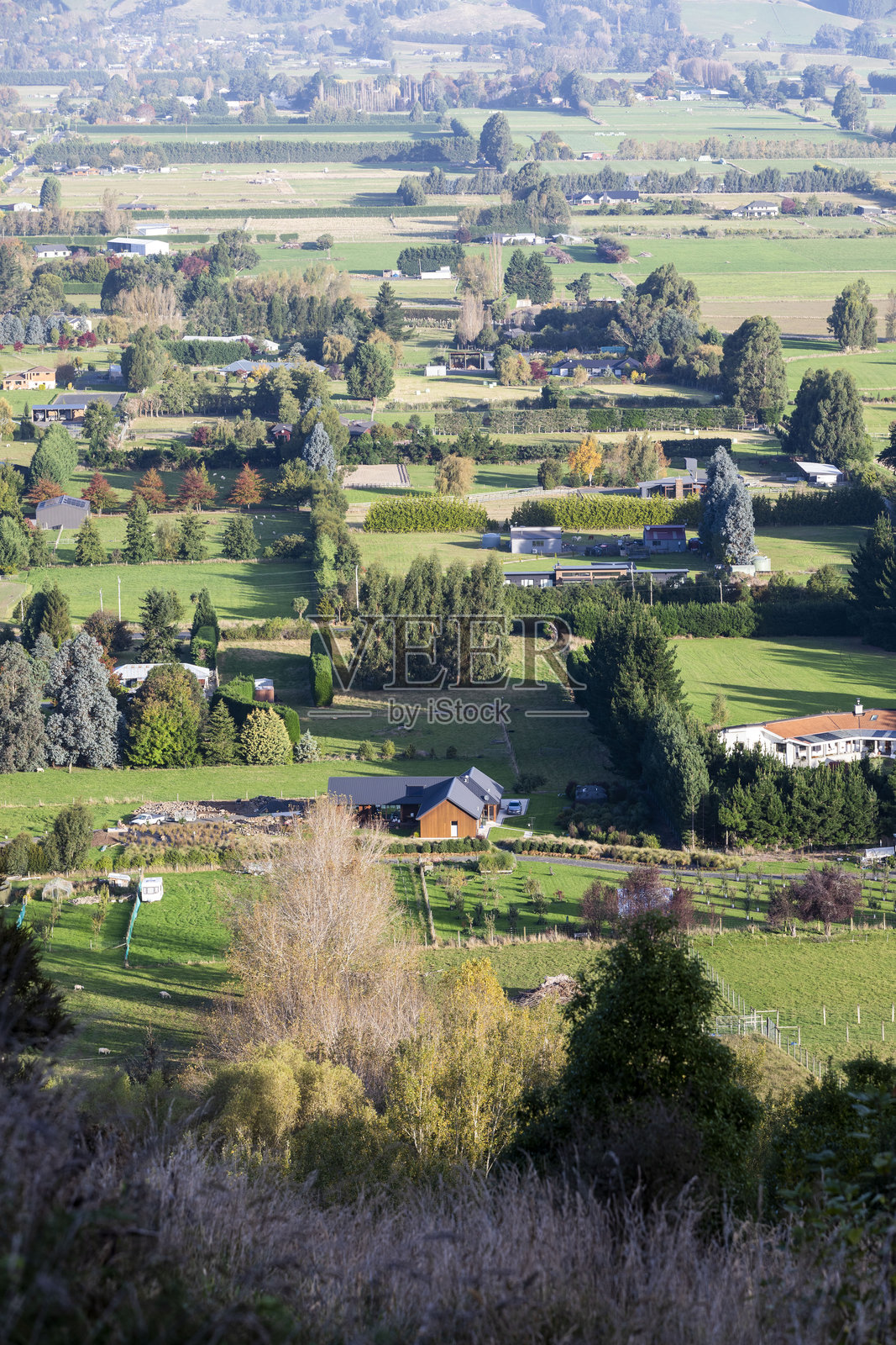 泰埃里平原照片摄影图片