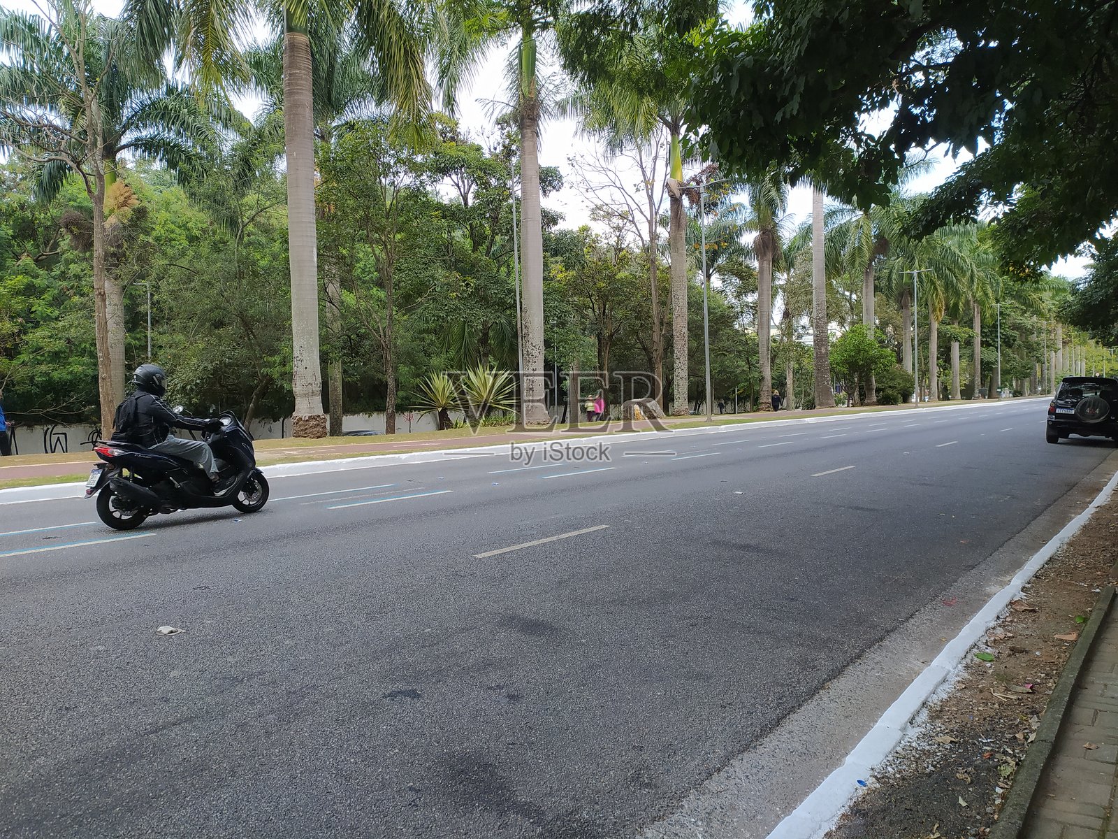一个半空的巴斯·莱梅大道，周围环绕着多棵树木，拍摄于周六早晨，地点在圣坦娜区。照片摄影图片
