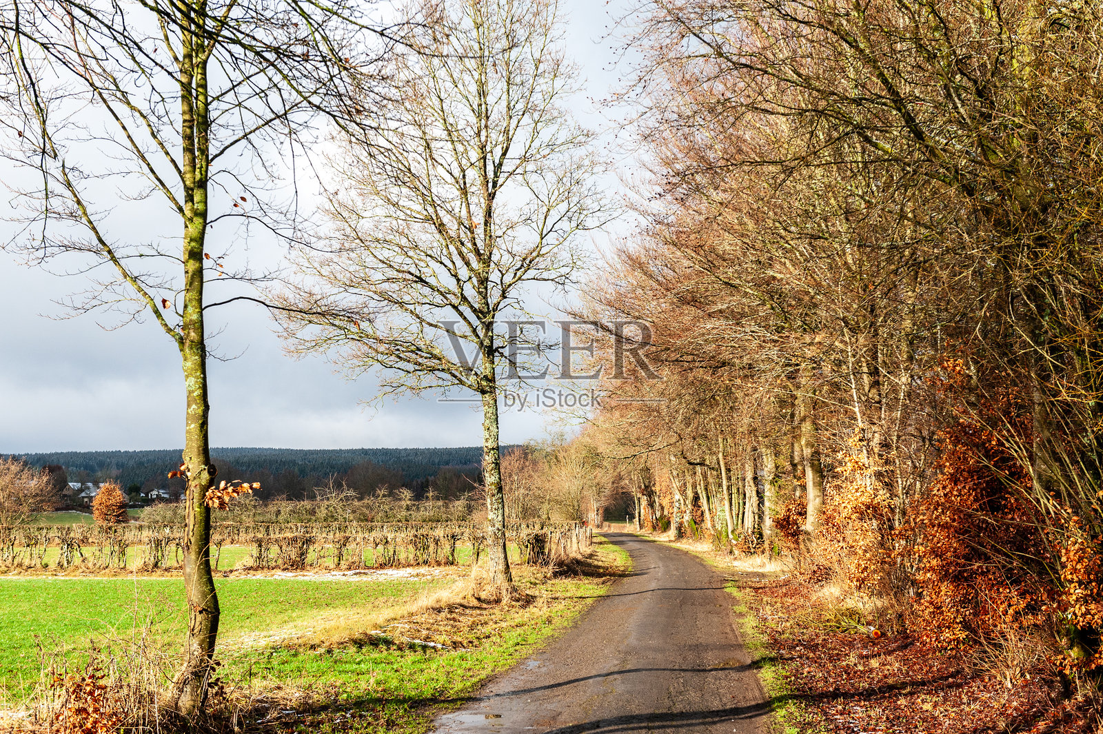 阿登地区的冬天照片摄影图片
