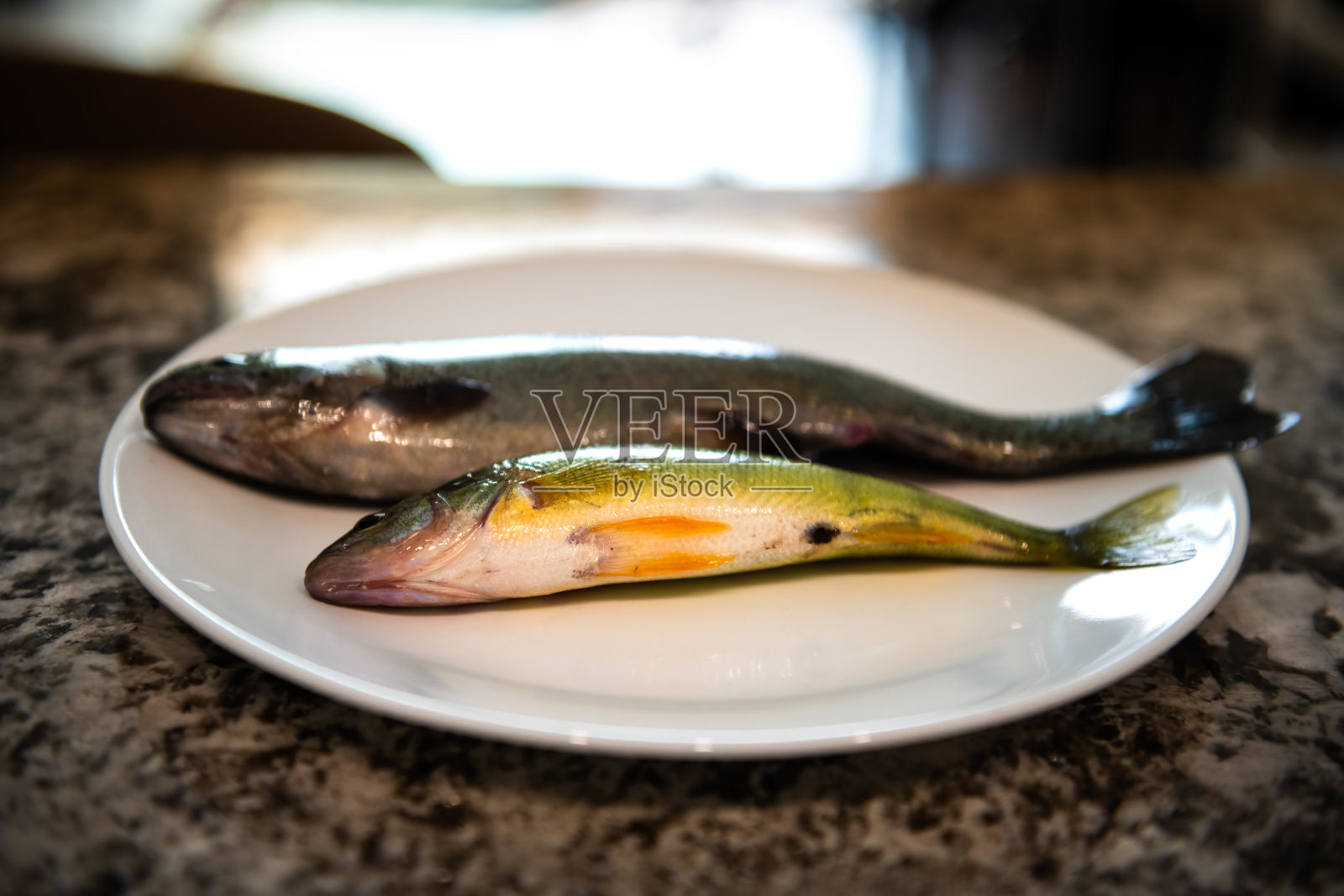 彩虹鳟鱼和小口黑鲈，两种鱼，腹部朝上，野生生鲜，整条未烹饪，来自科罗拉多州淡水湖的捕捞食品照片摄影图片