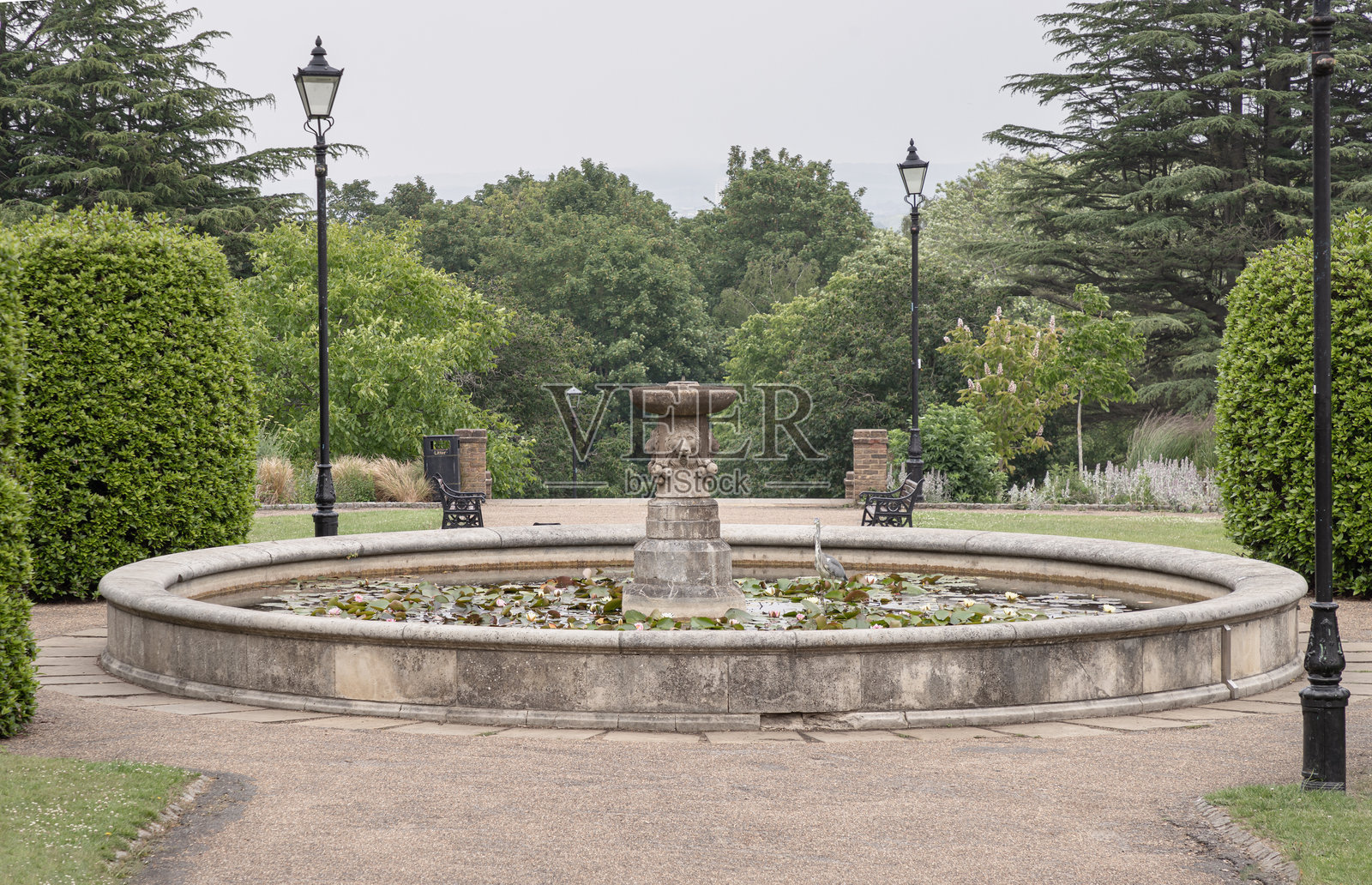 亚历山德拉宫花园内的喷泉，位于正式玫瑰园内。照片摄影图片