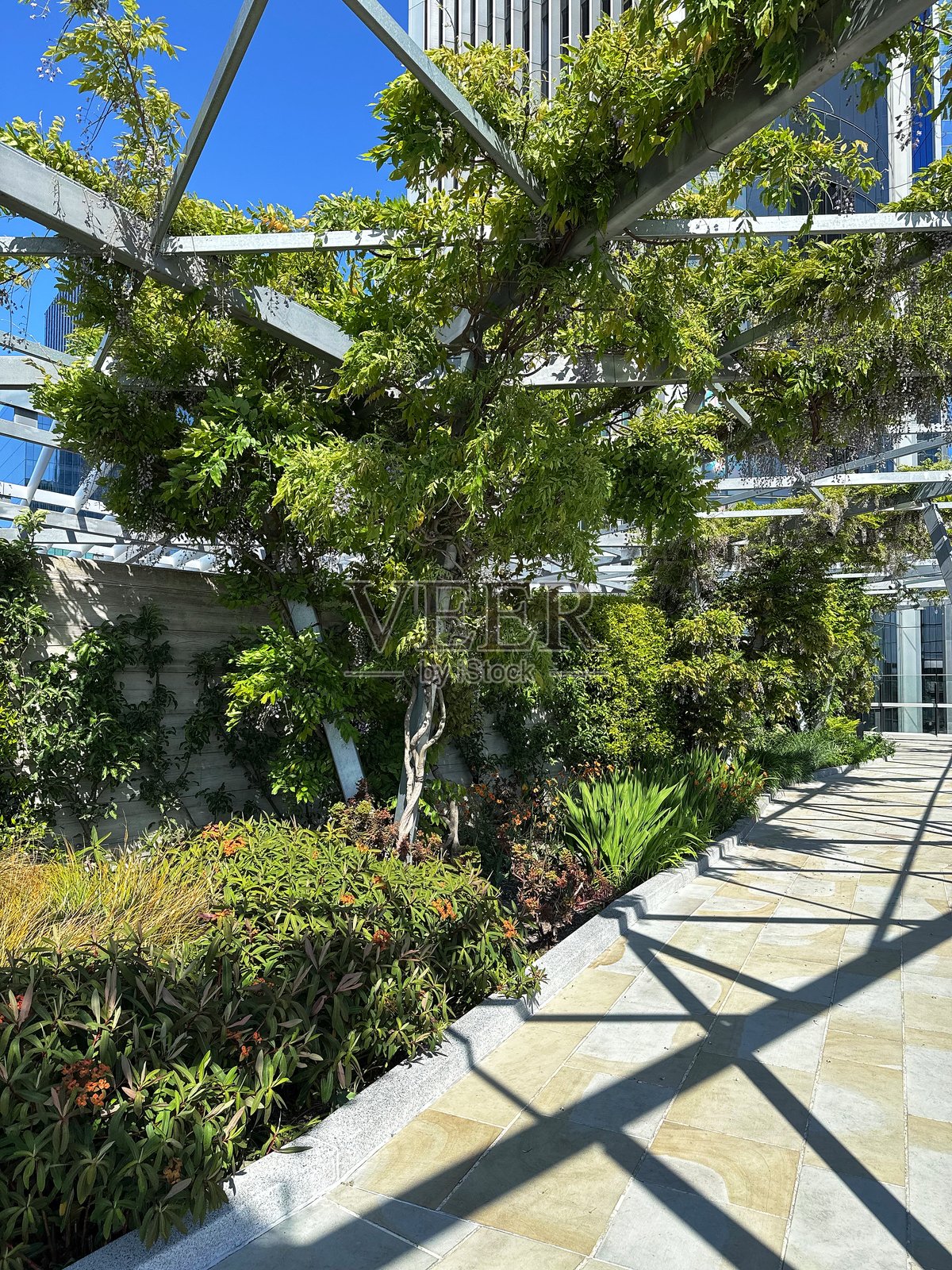 位于英国伦敦的120号花园。照片摄影图片