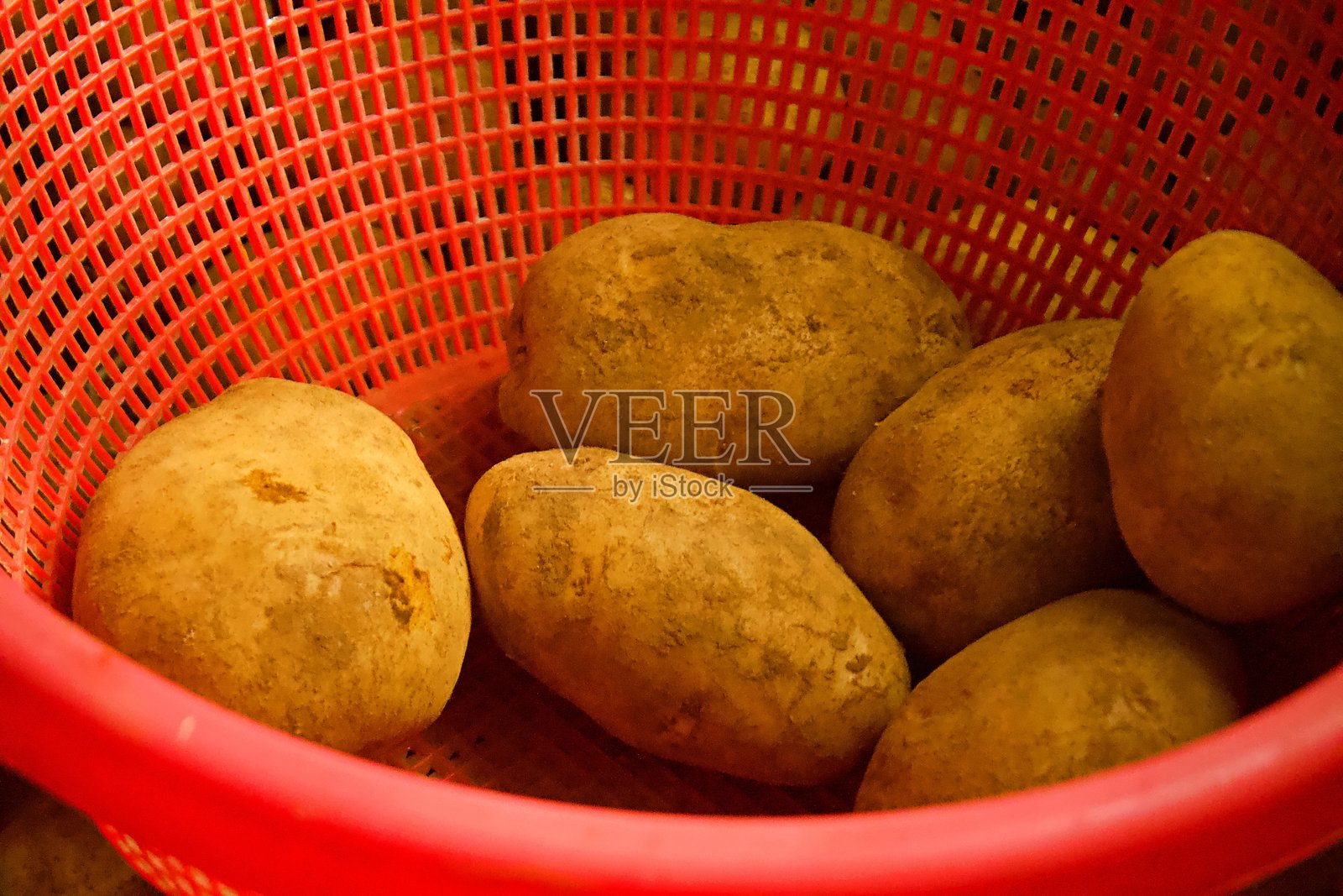 新鲜农场土豆放在红色塑料漏斗里照片摄影图片