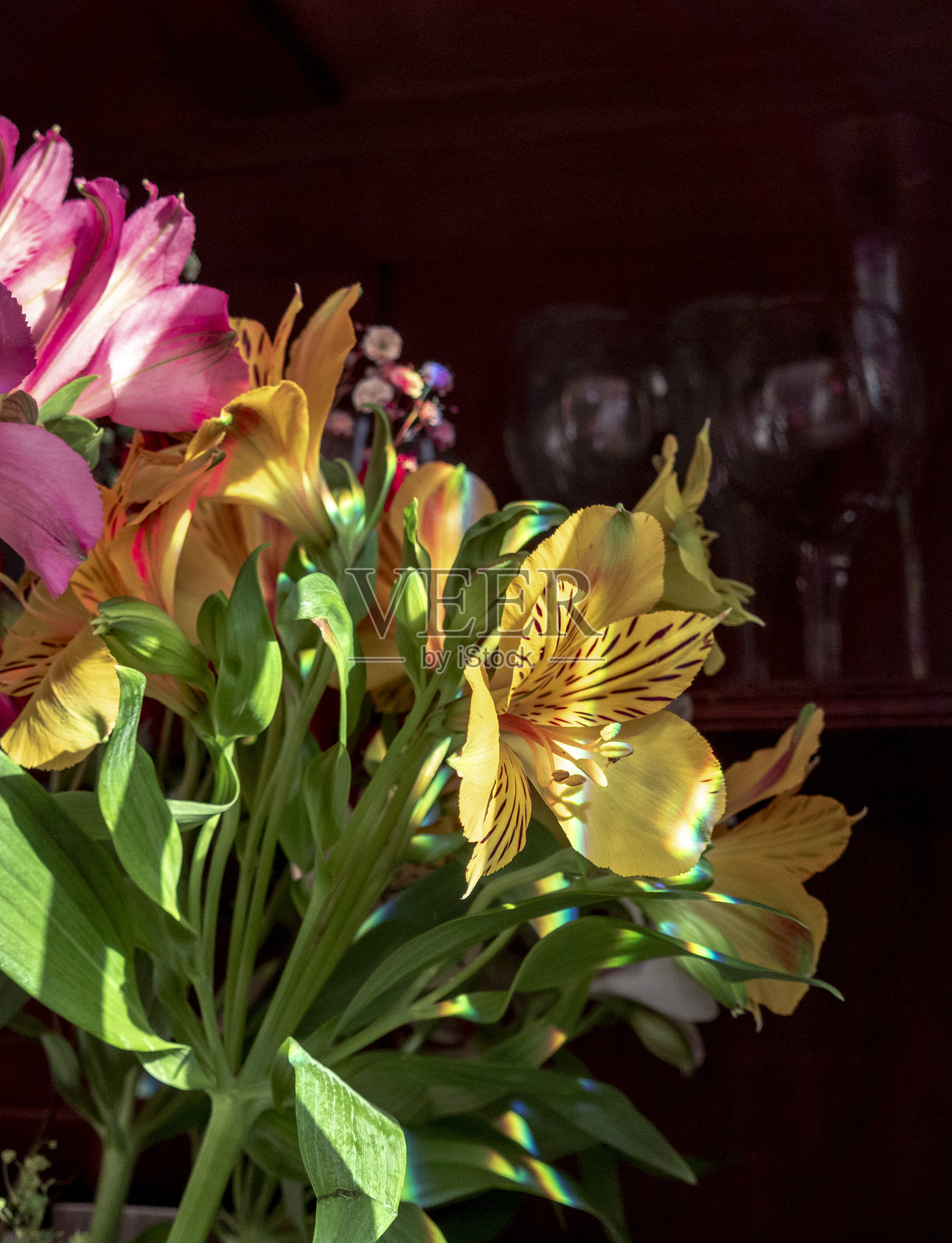 五彩斑斓的百合花束散发着光彩照人的反射照片摄影图片