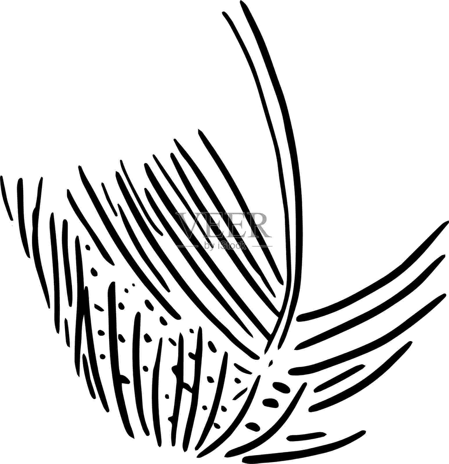 夏季装饰项目的棕榈叶插图插画图片素材