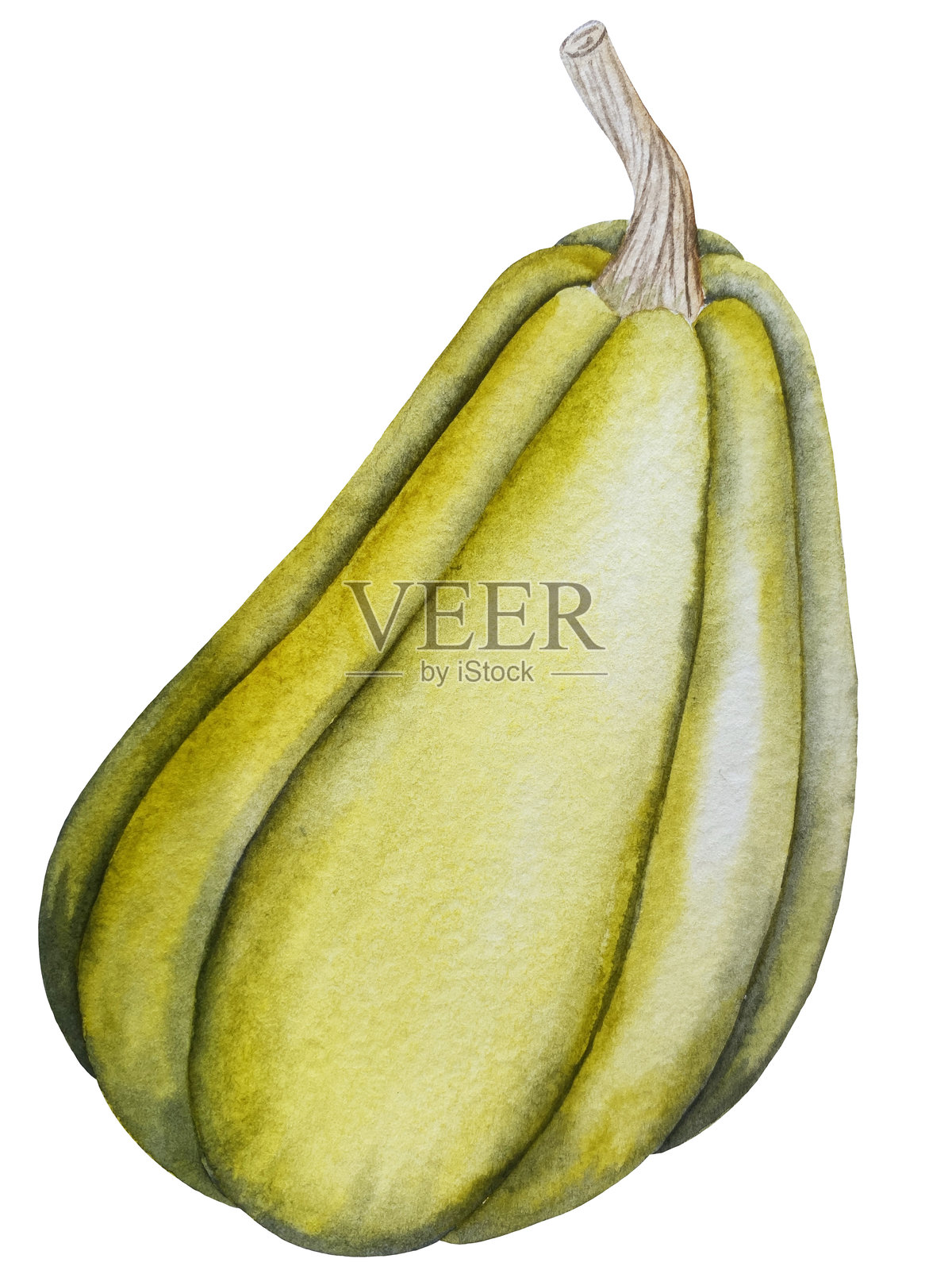 手绘水彩秋季南瓜、橡果、秋叶、蘑菇、山楂果的组合，孤立在白色背景上。非常适合制作贺卡和设计。感恩节插图。插画图片素材