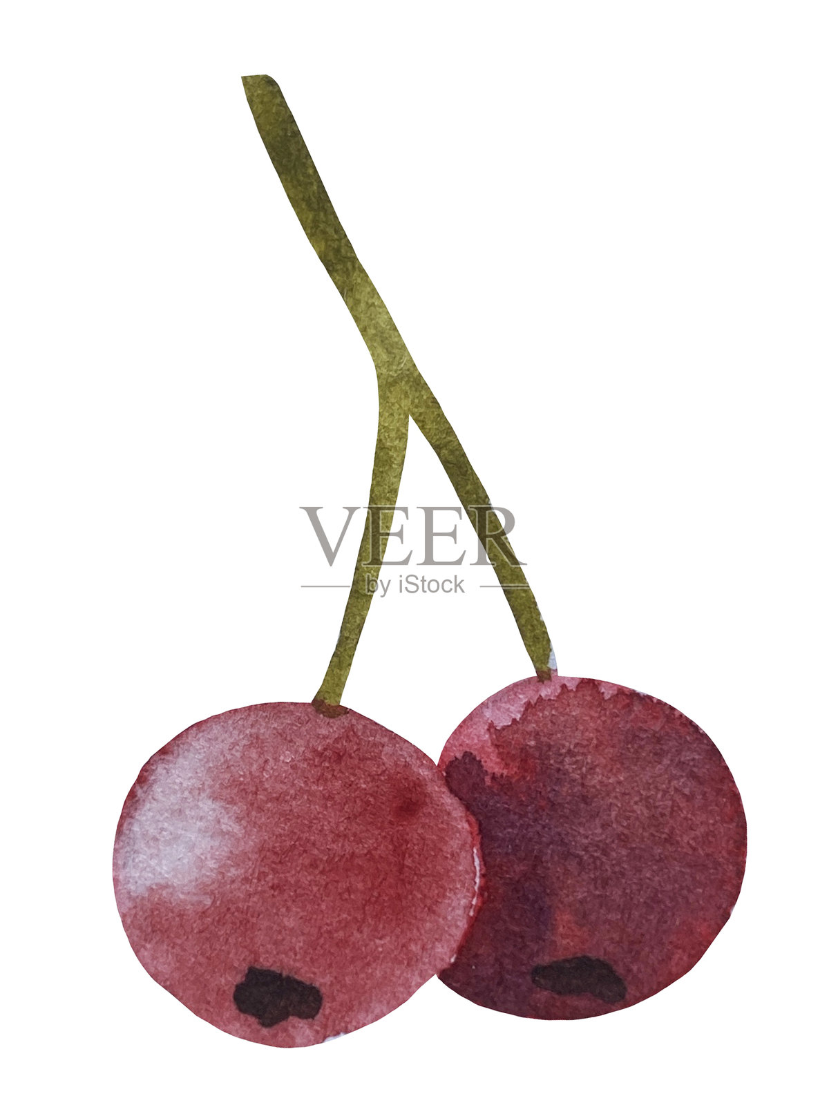 手绘水彩秋季南瓜、橡果、秋叶、蘑菇、山楂果的组合，孤立在白色背景上。非常适合制作贺卡和设计。感恩节插图。插画图片素材