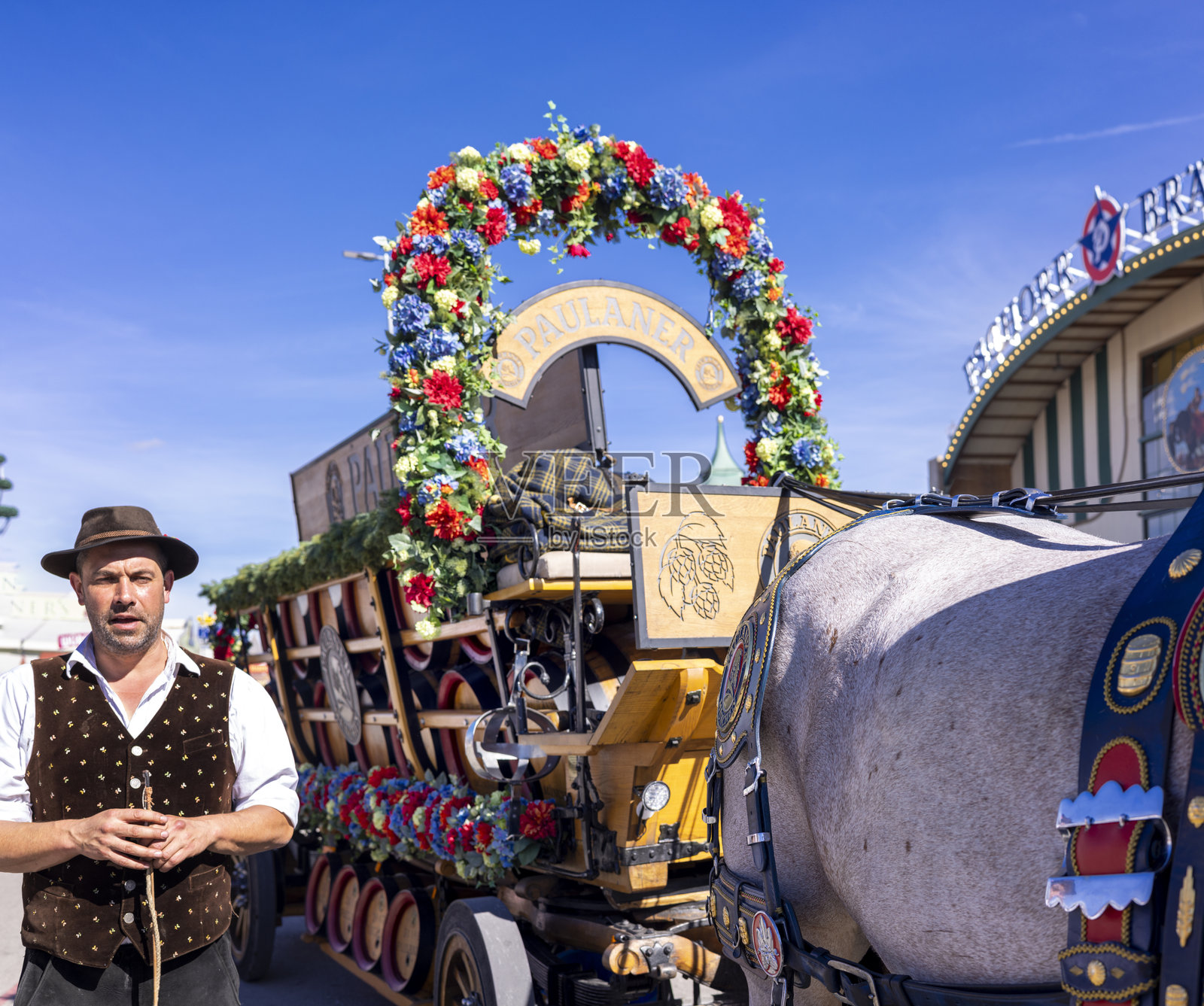 慕尼黑啤酒节上的保罗纳啤酒马车与拉车马照片摄影图片
