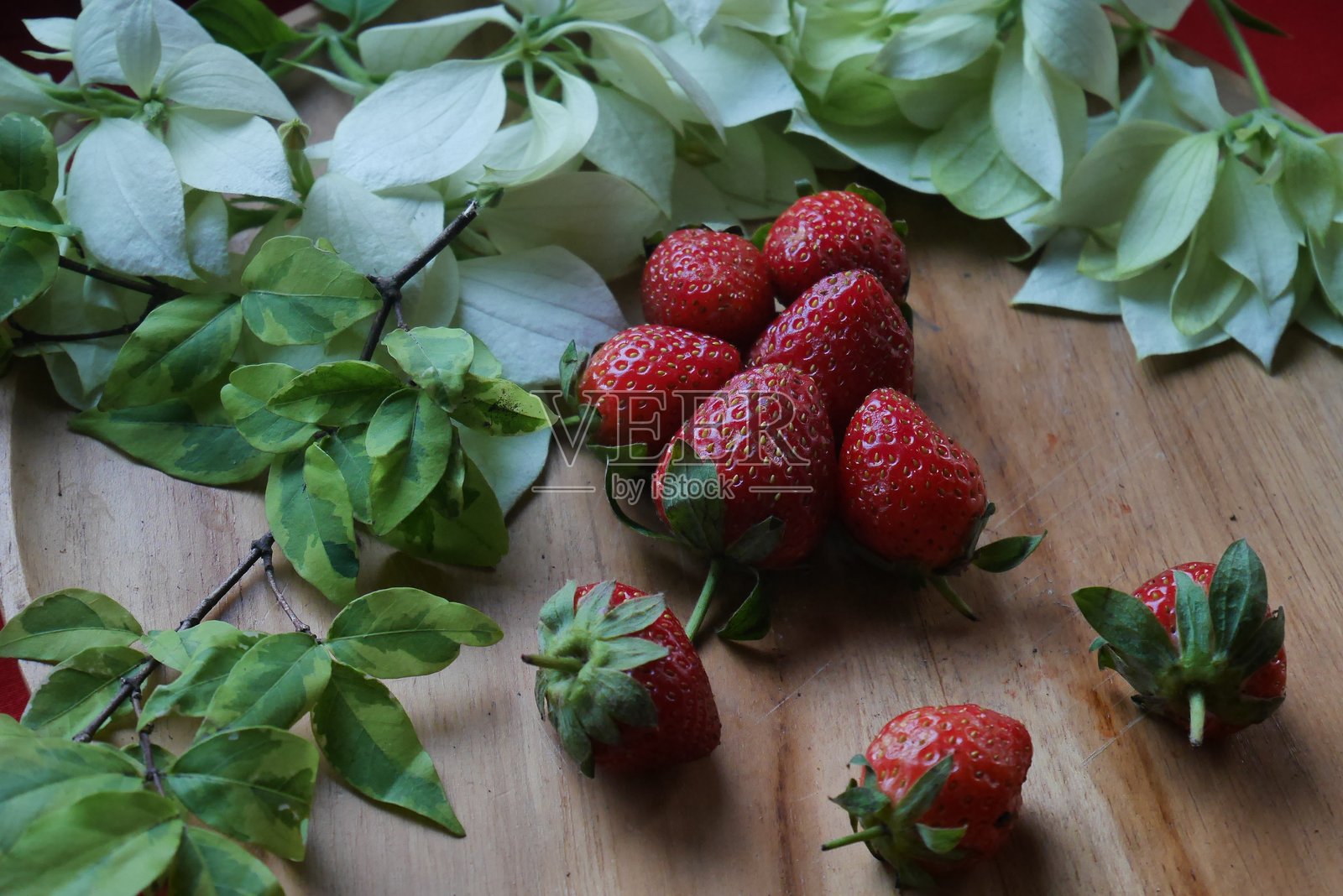 从花园里采摘的草莓（Fragaria × ananassa）照片摄影图片