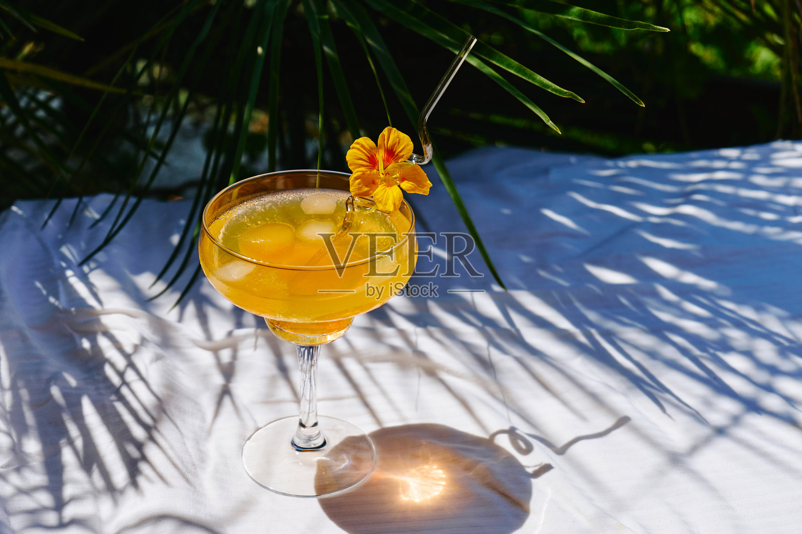 夏季清爽的橙色汽水饮料放在花园的桌子上。冰镇柠檬水配橙片。照片摄影图片