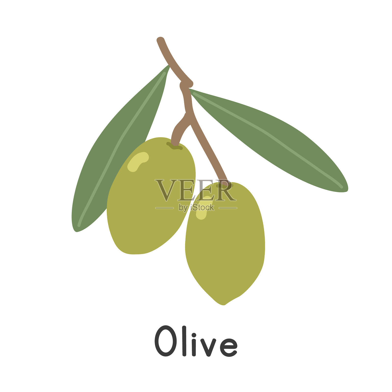 橄榄平面矢量插图。常见的橄榄卡通剪贴画风格，背景为白色。核果概念插画图片素材