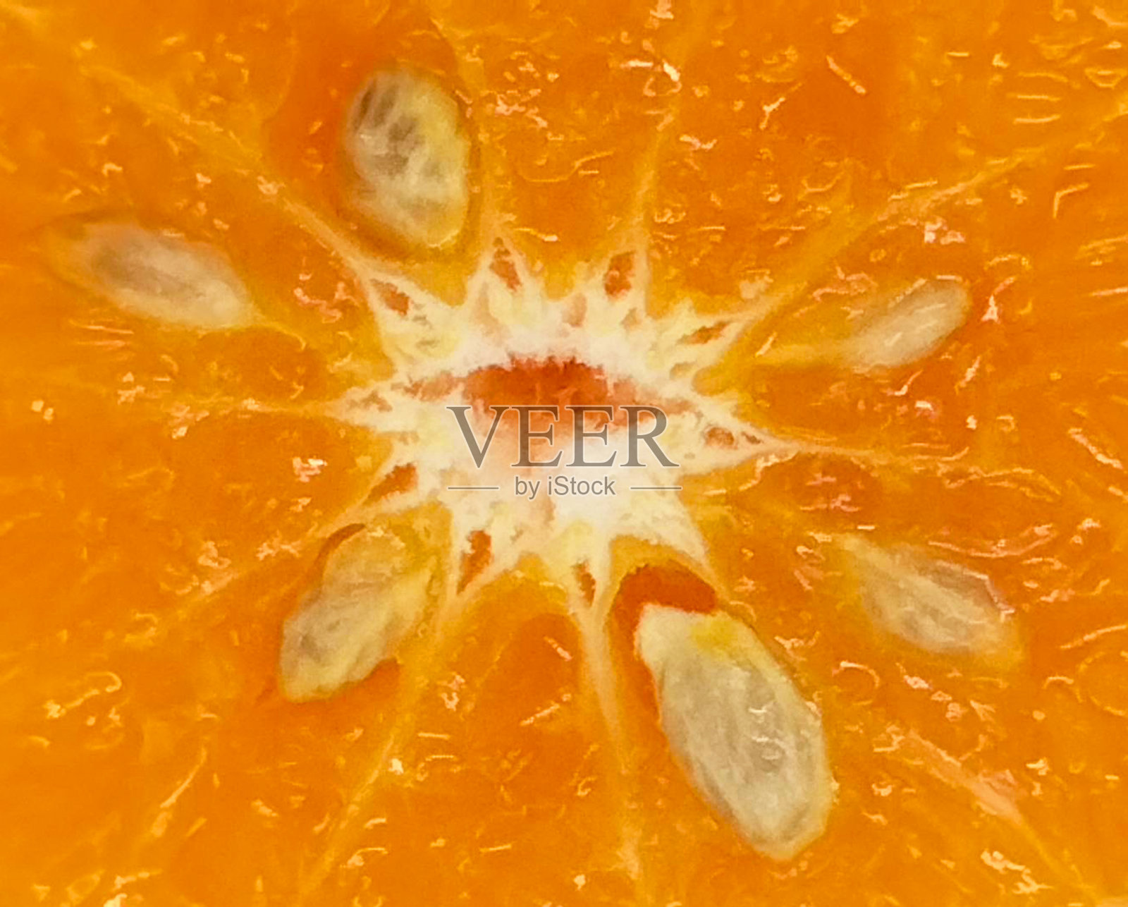 橙子水果课程背景照片摄影图片