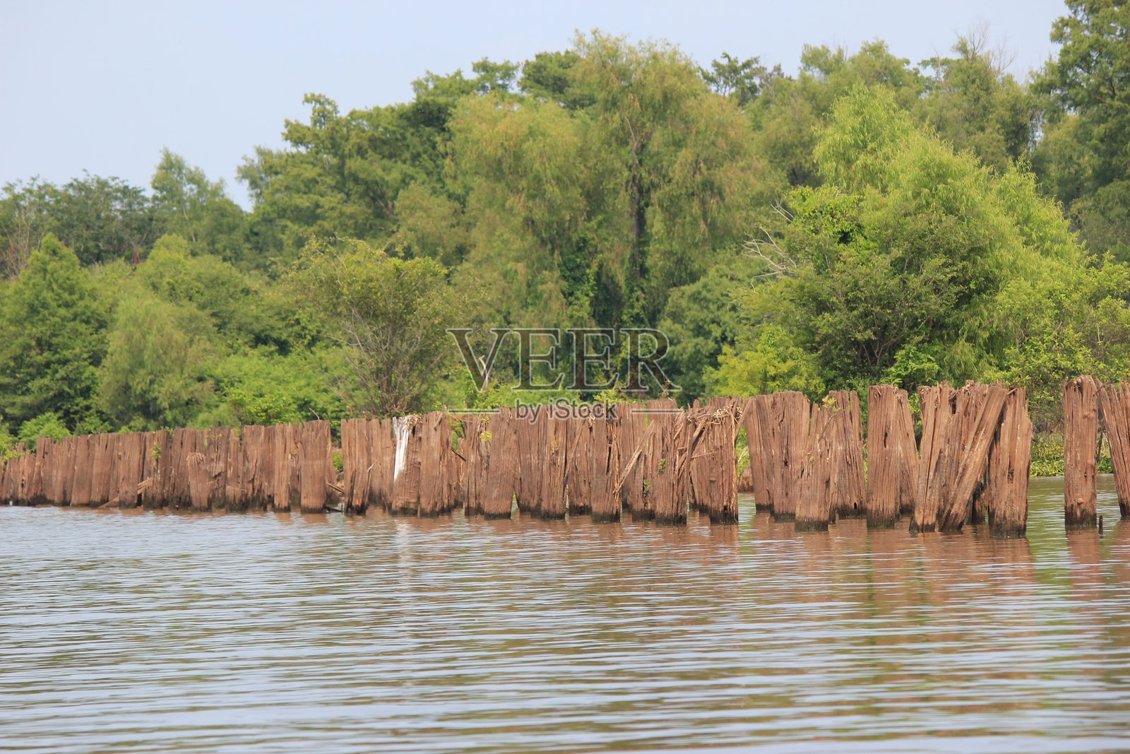 阿查法拉亚盆地照片摄影图片