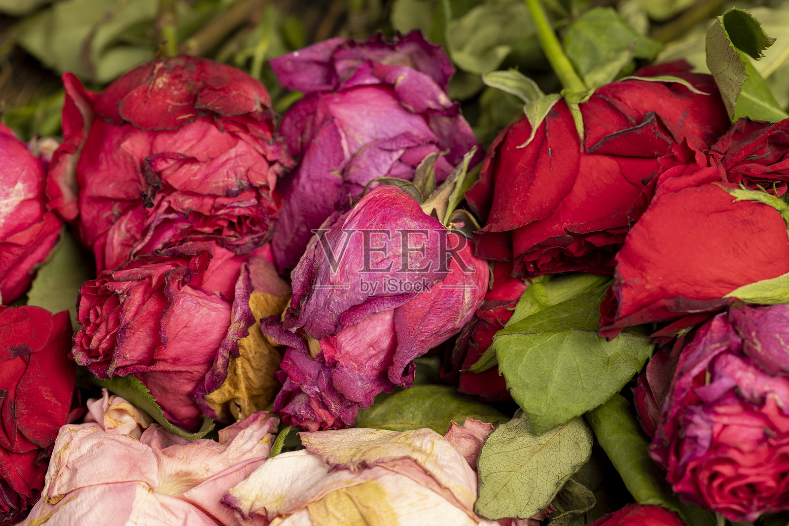 红色干玫瑰花束，桌上的红玫瑰干花束特写照片摄影图片