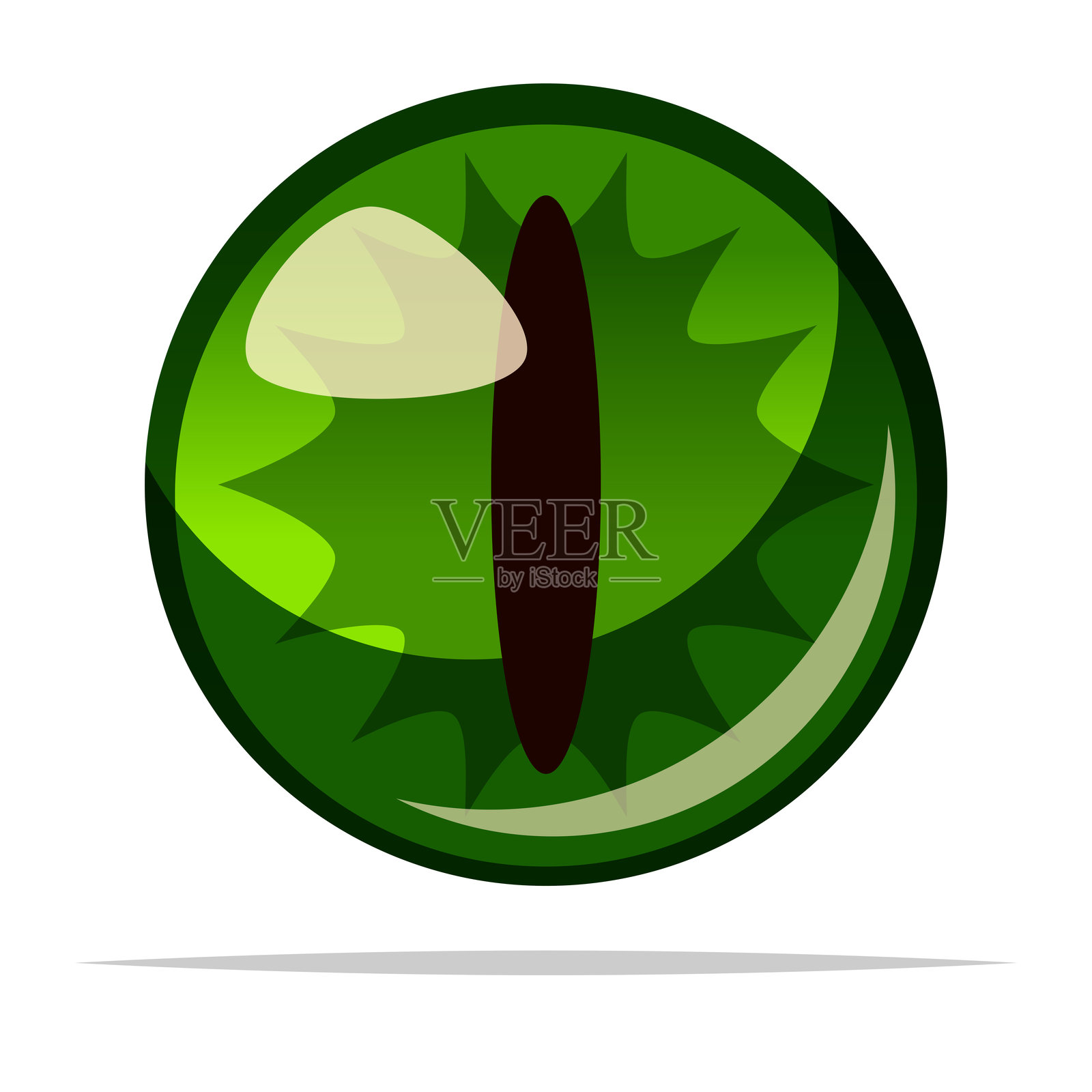 龙眼球矢量孤立插图插画图片素材