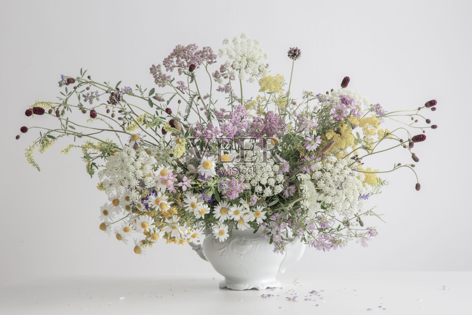 白色背景上的白色茶壶里的夏季野花照片摄影图片