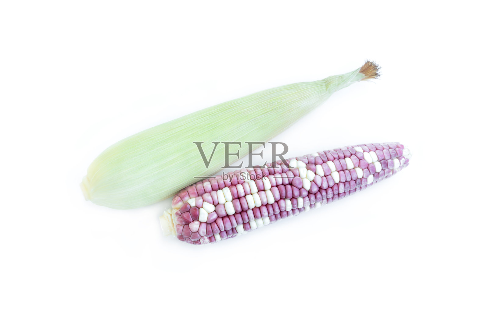 新鲜紫玉米孤立在白色背景上，新鲜甜玉米穗照片摄影图片