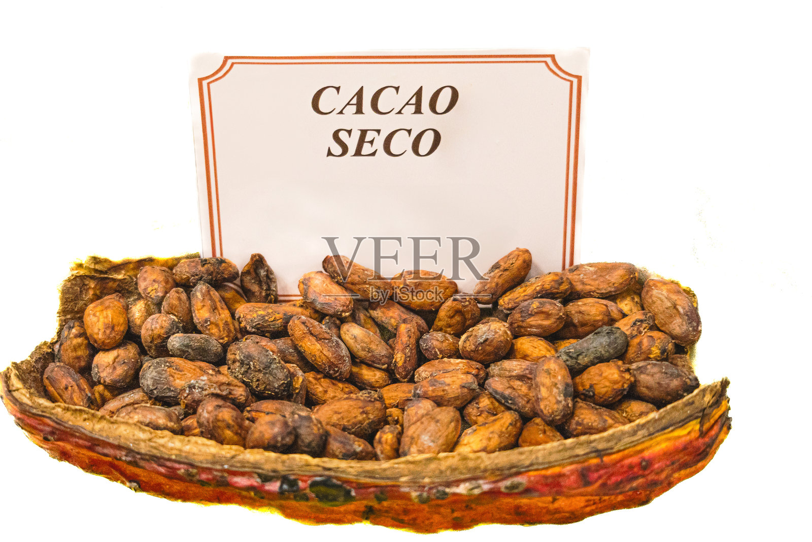 干燥可可豆展示在干燥的可可果壳或豆荚上，旁边有标识说明这些是干燥的可可豆。照片摄影图片