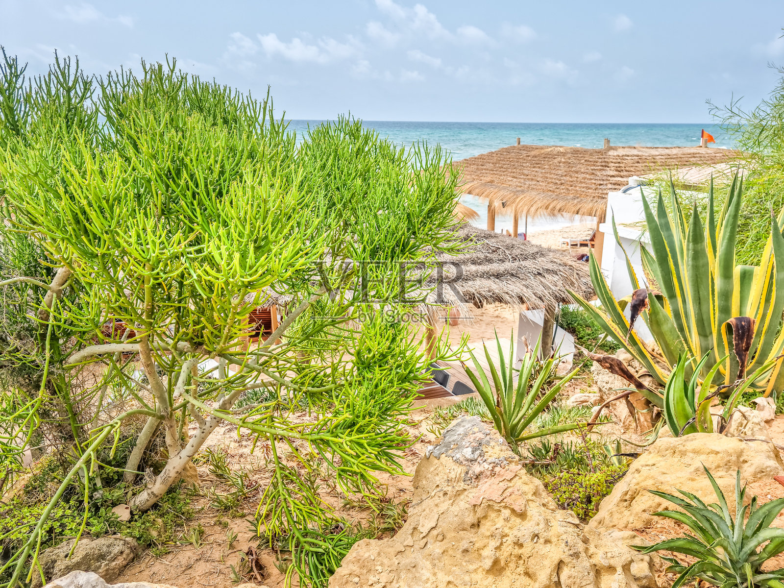 突尼斯哈马梅特的海滩风景照片摄影图片
