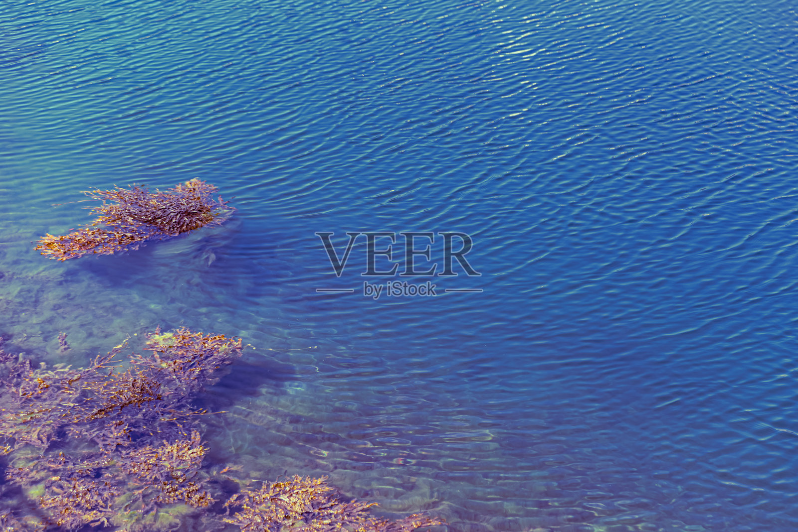 安达尔斯内斯 - 挪威 - 2023年6月26日照片摄影图片