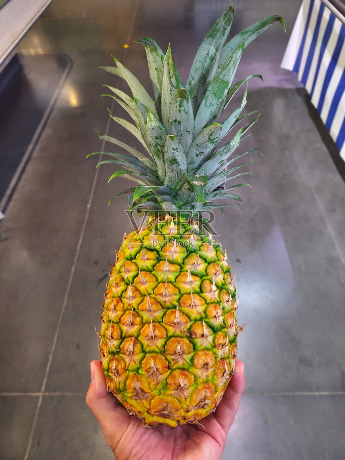 菠萝照片摄影图片