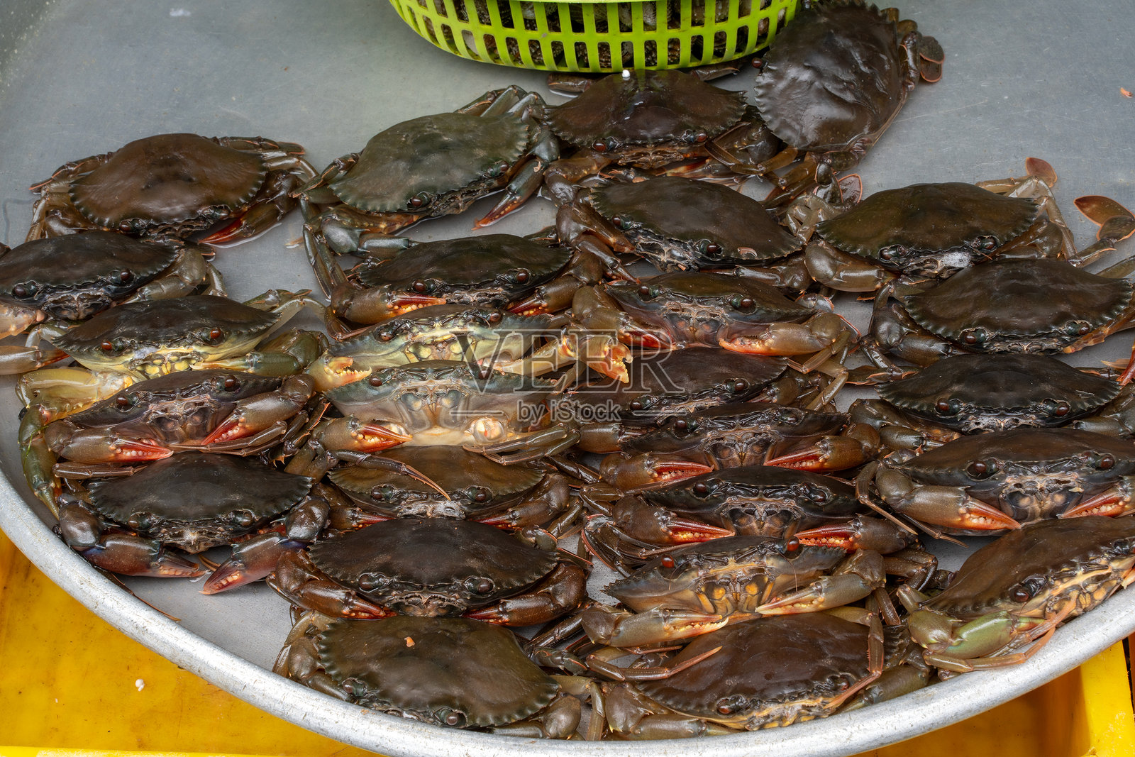 海鲜市场上圆盘中展示的活蟹照片摄影图片