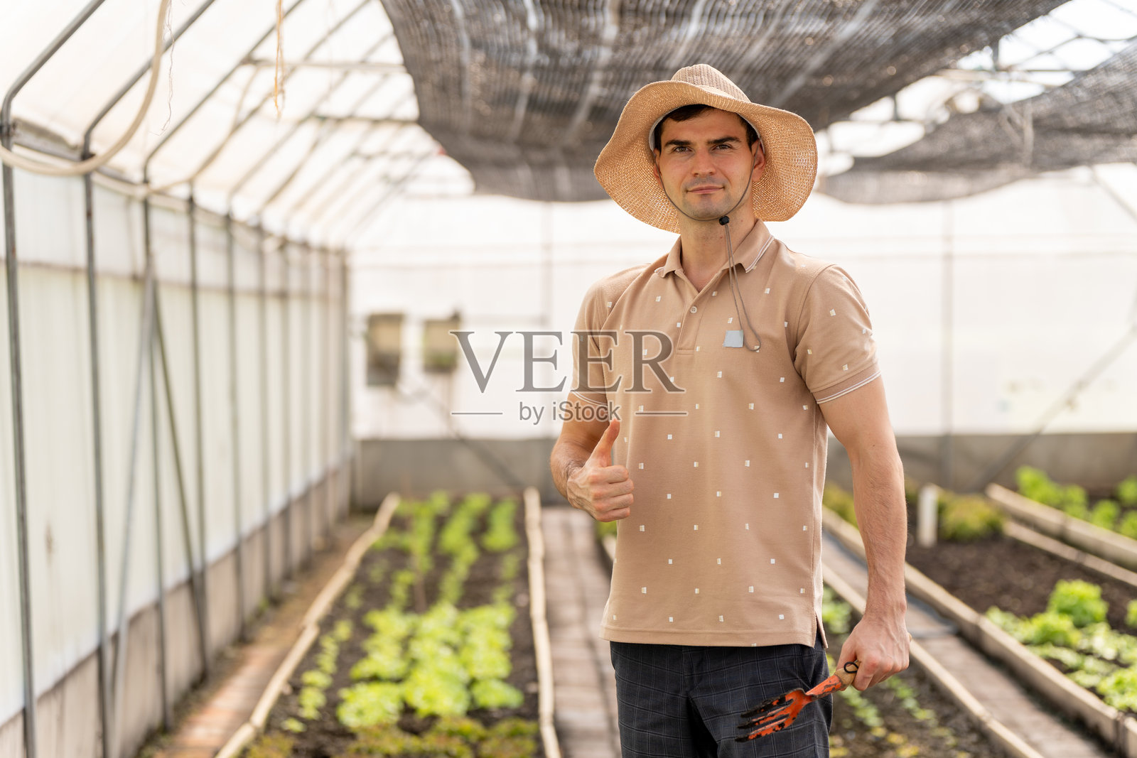 白人农民竖起大拇指，快乐地在水培蔬菜温室农场工作。小型企业，业主经营。照片摄影图片