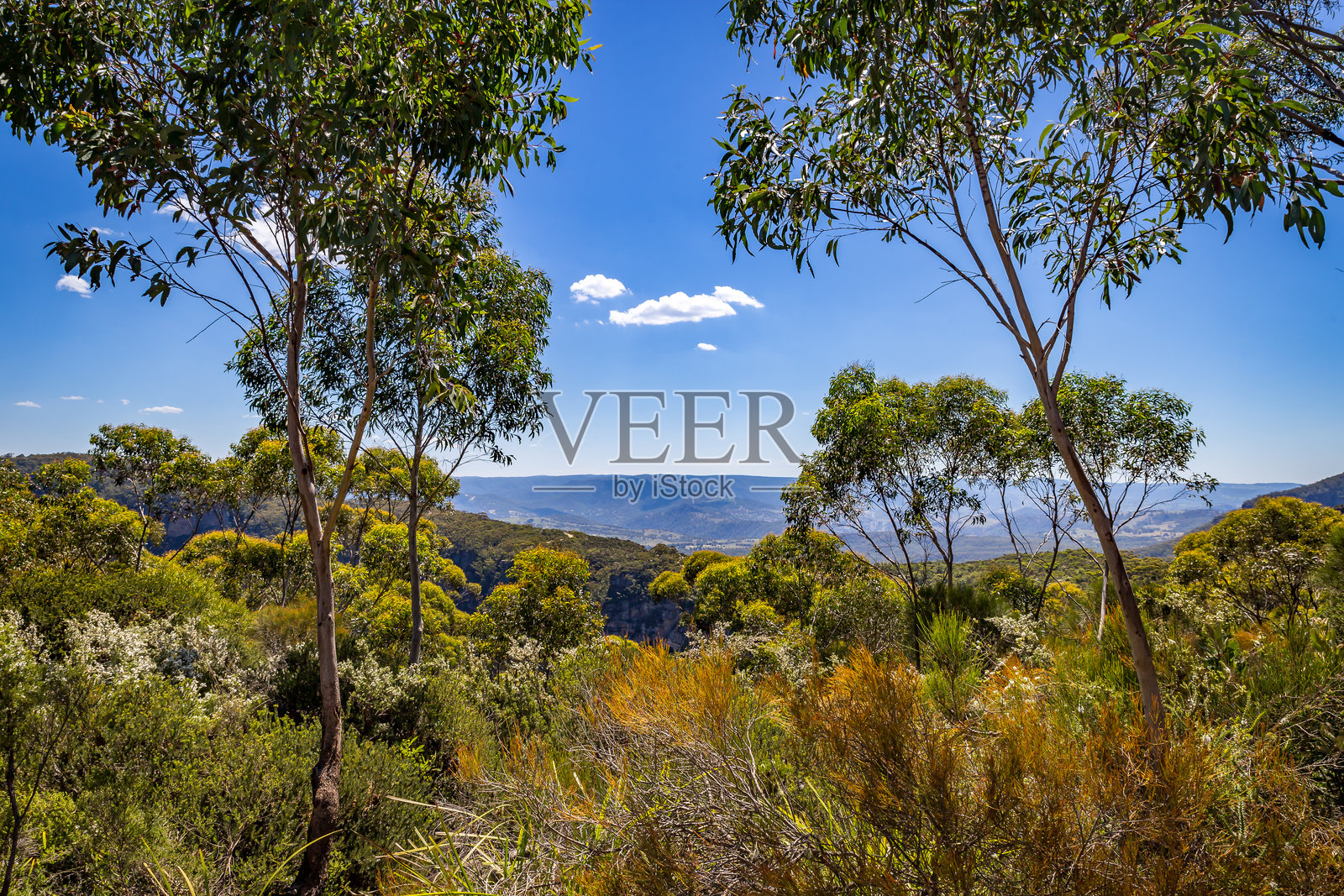 从希尔达观景台俯瞰蓝山的澳大利亚灌木丛，树木与蓝天相映成趣照片摄影图片