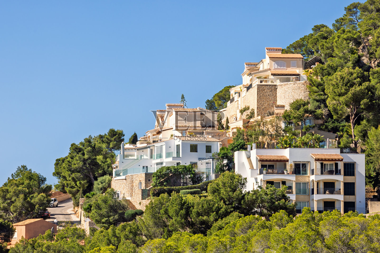 阳光明媚的夏日，坡上的住宅和郁郁葱葱的树木照片摄影图片