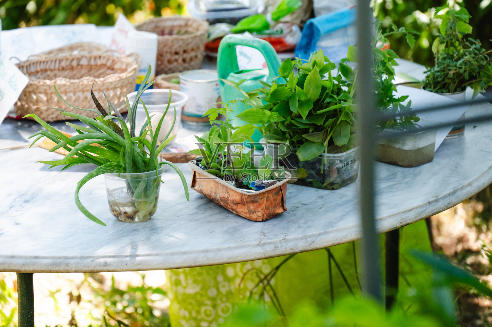 户外圆桌上的园艺用品和盆栽植物照片摄影图片
