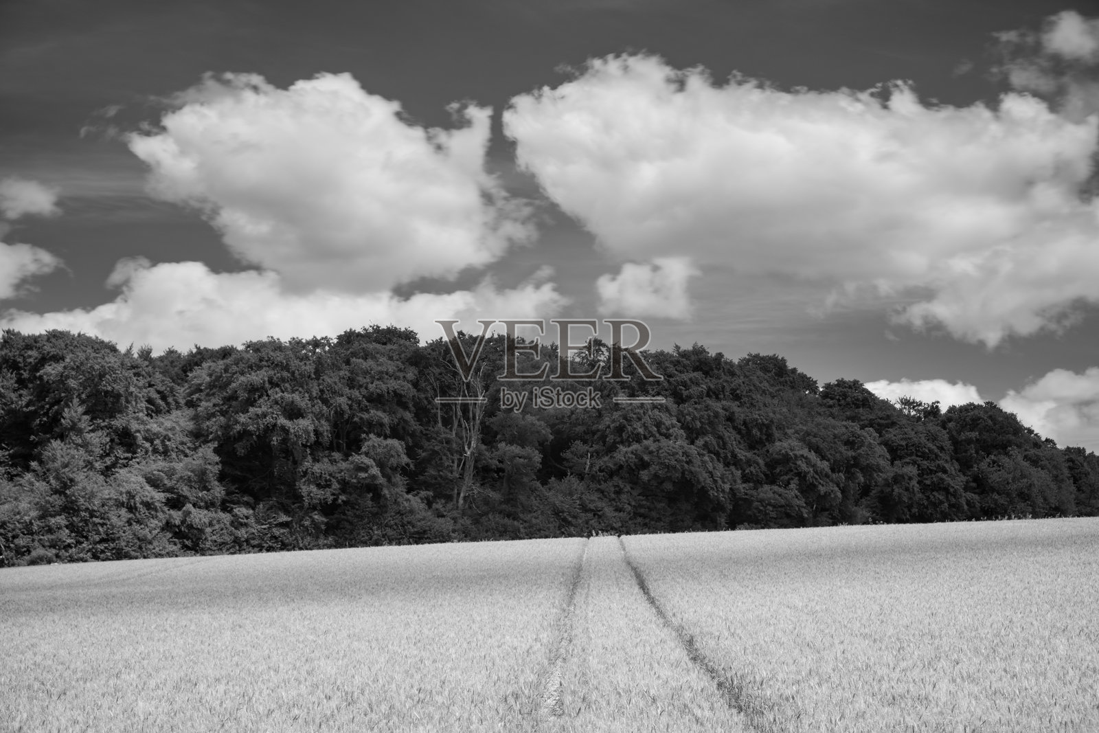 老阿默舍姆周围的巴克inghamshire农田照片摄影图片
