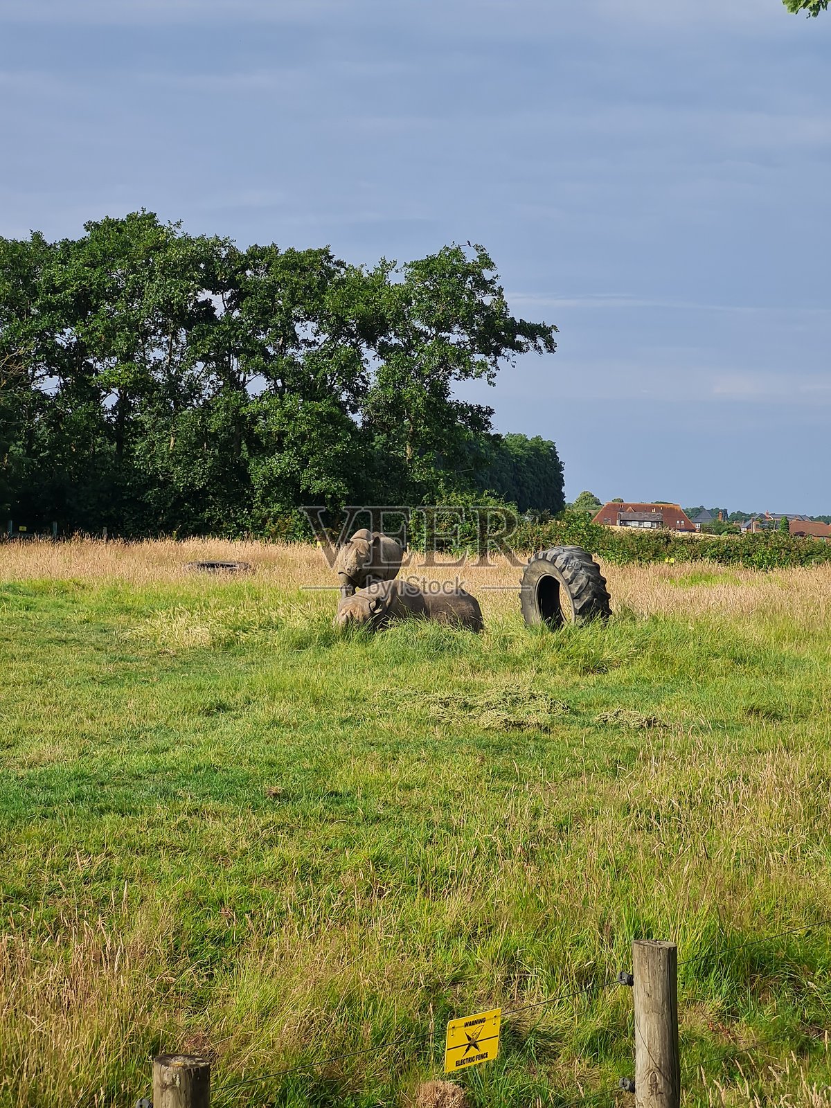 英格兰草原照片摄影图片